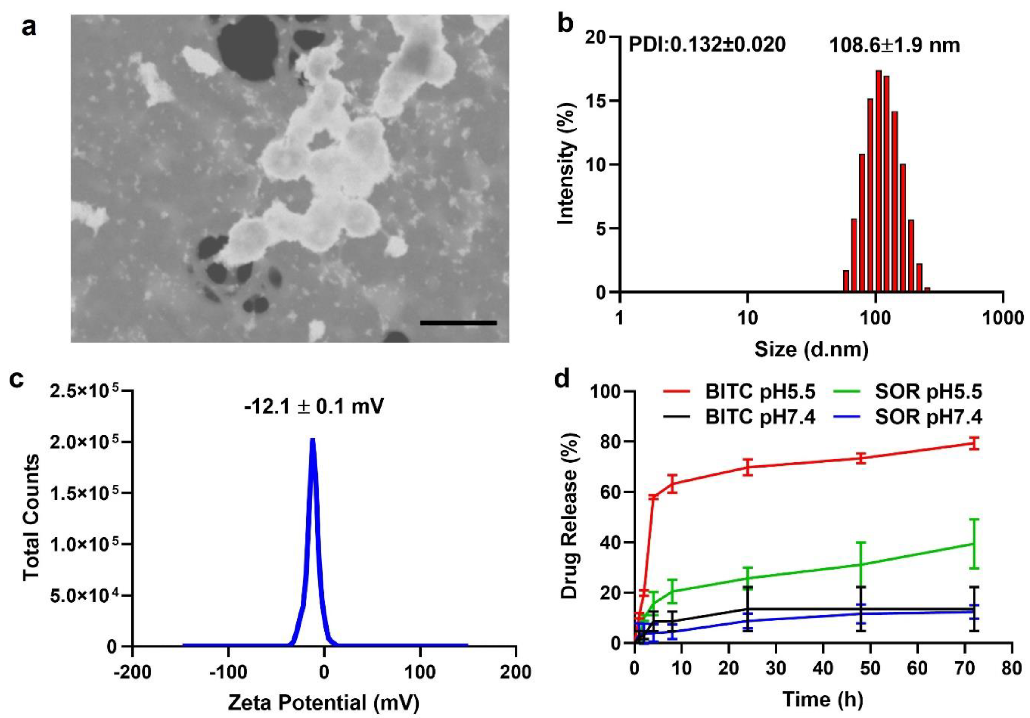 Cancers 16 01695 g001 Cancers 16 01695 g001