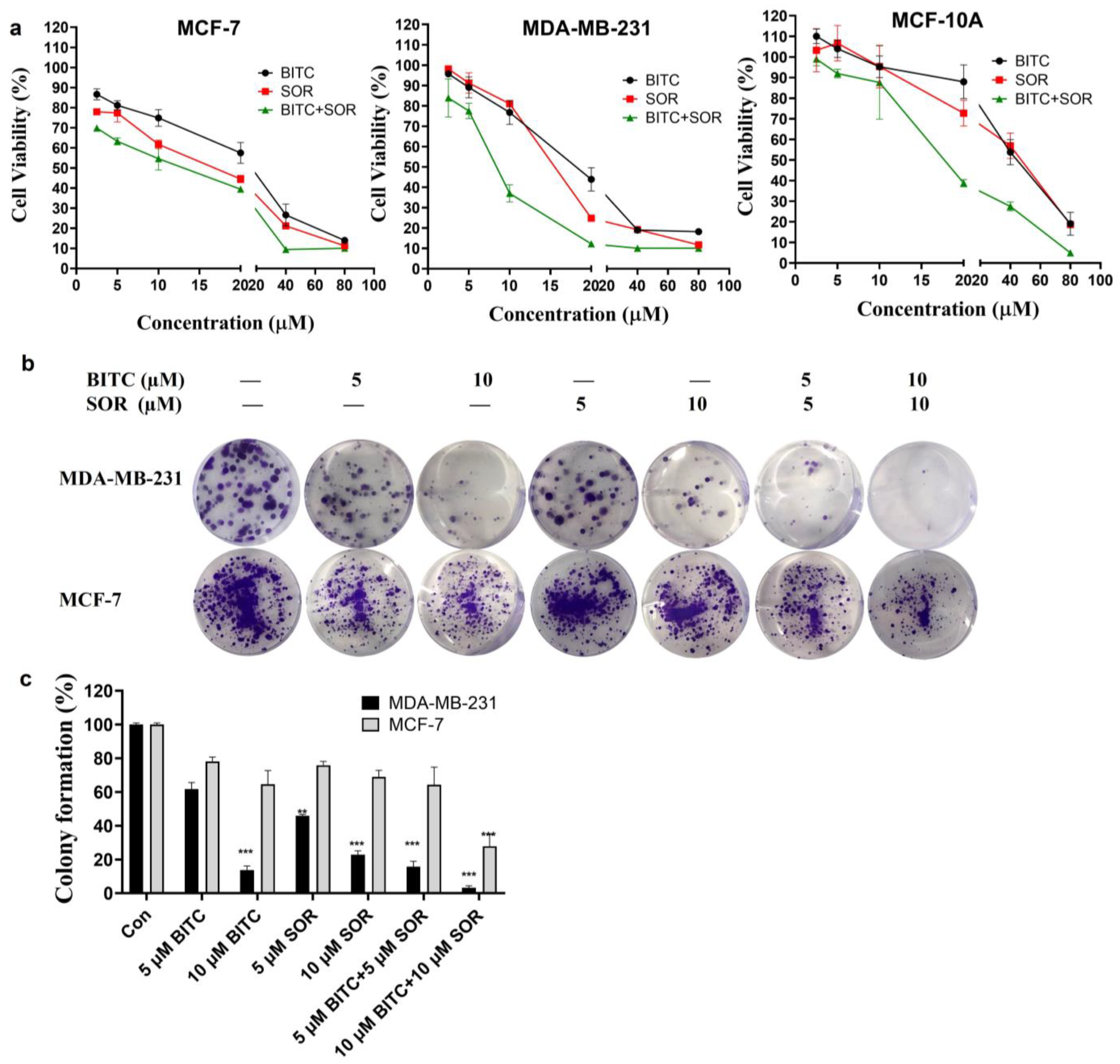 Cancers 16 01695 g002 Cancers 16 01695 g002
