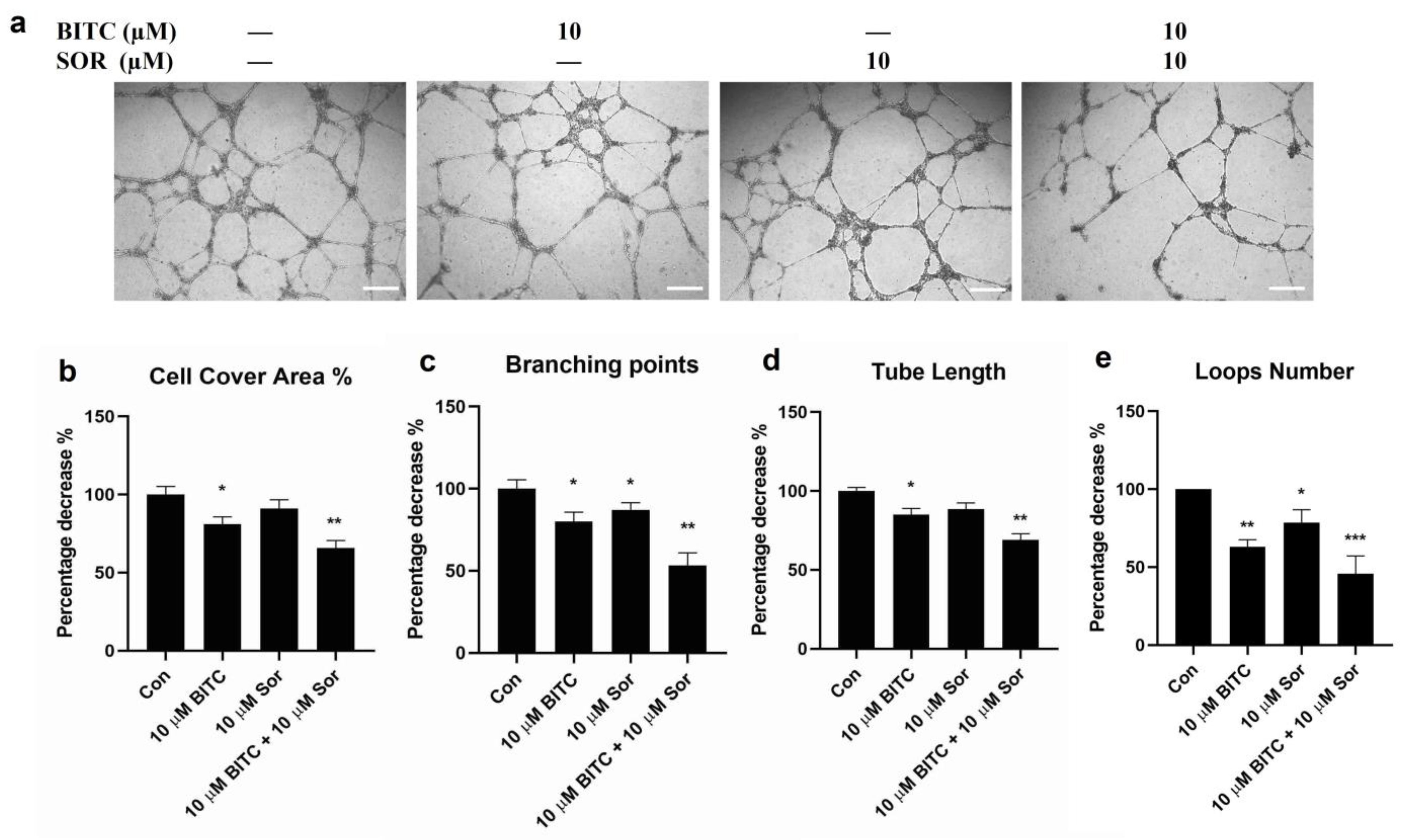 Cancers 16 01695 g004 Cancers 16 01695 g004