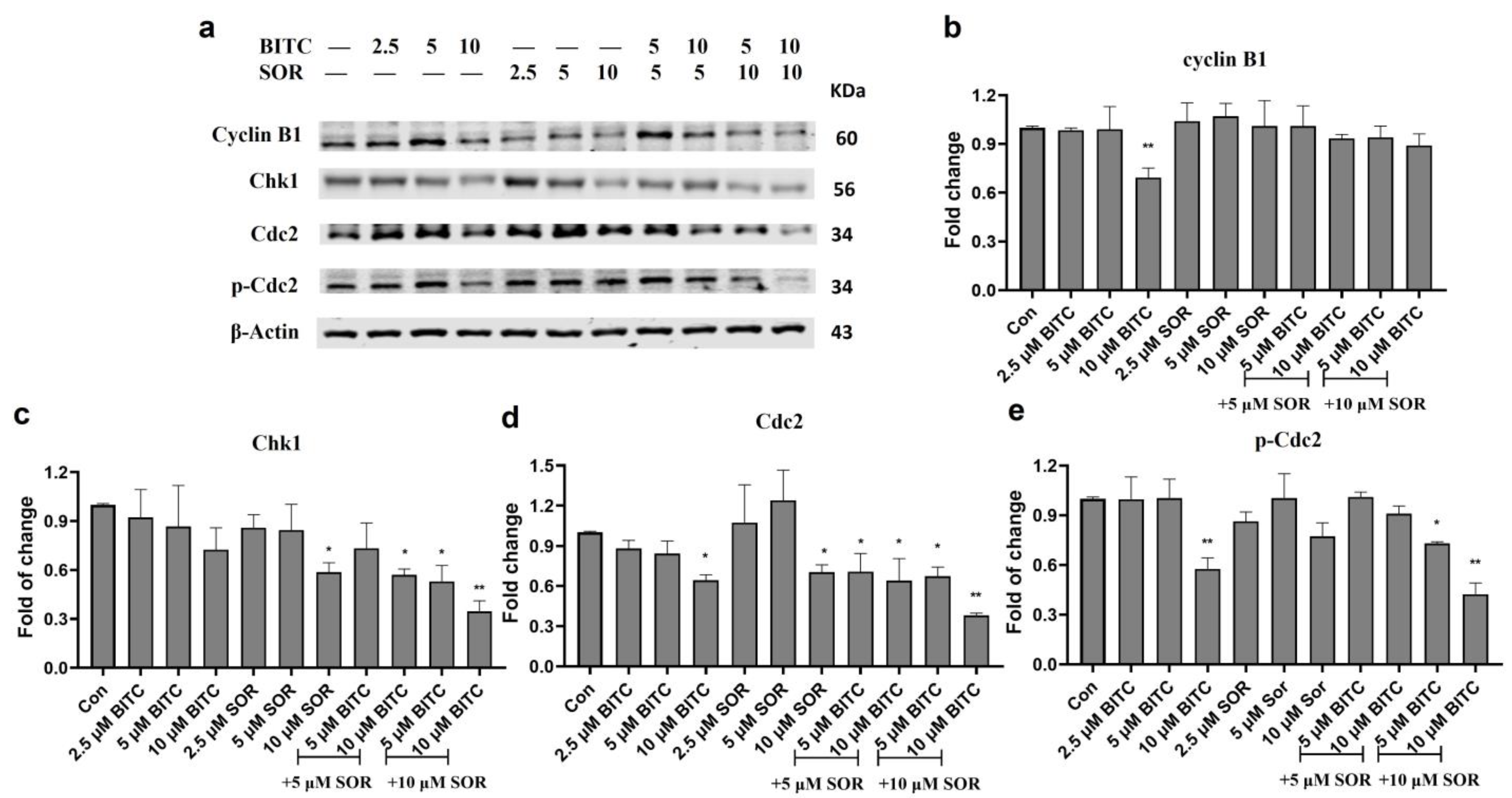 Cancers 16 01695 g007 Cancers 16 01695 g007