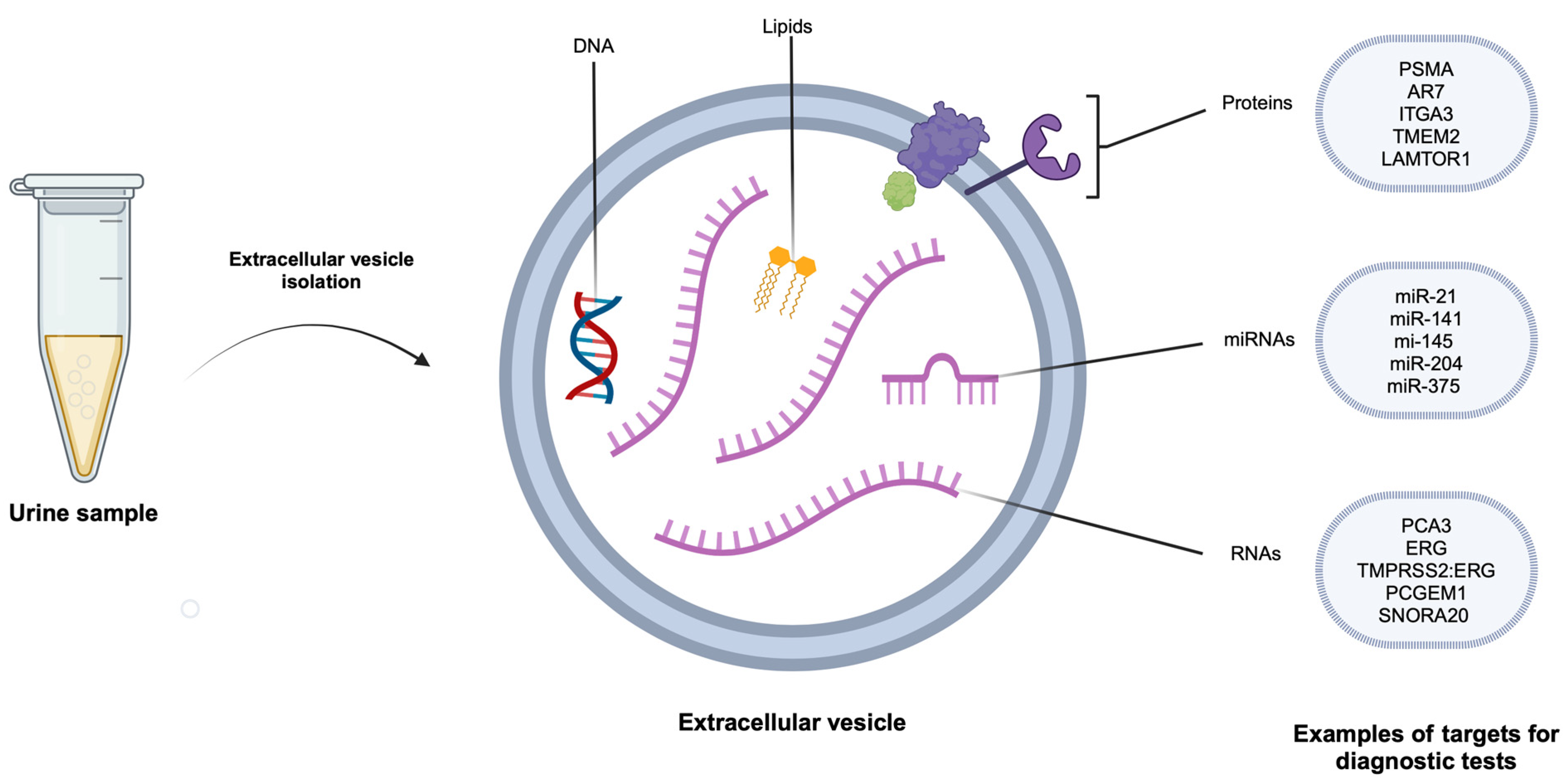 Cancers 16 01717 g003