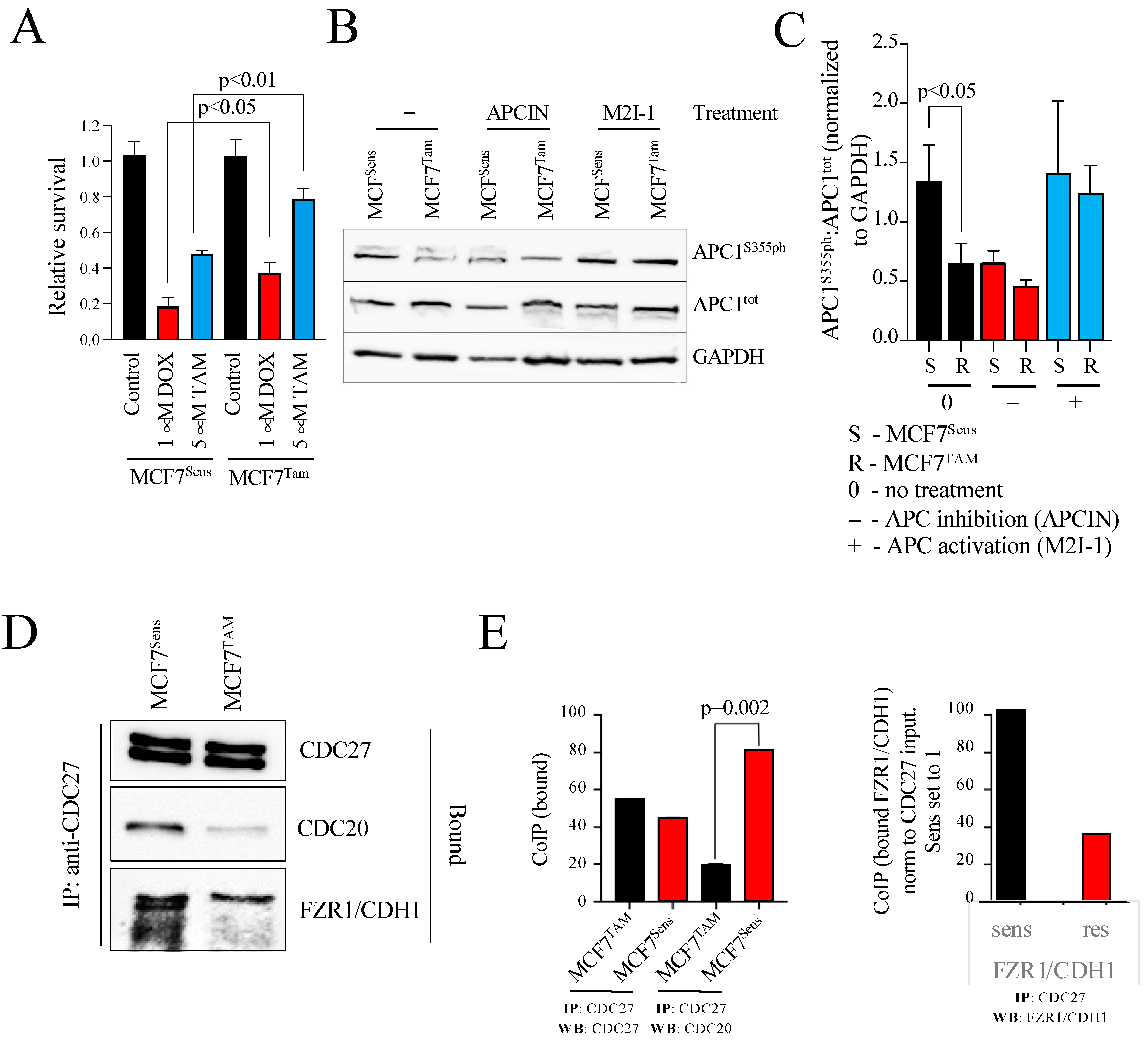 Cancers 16 01755 g001