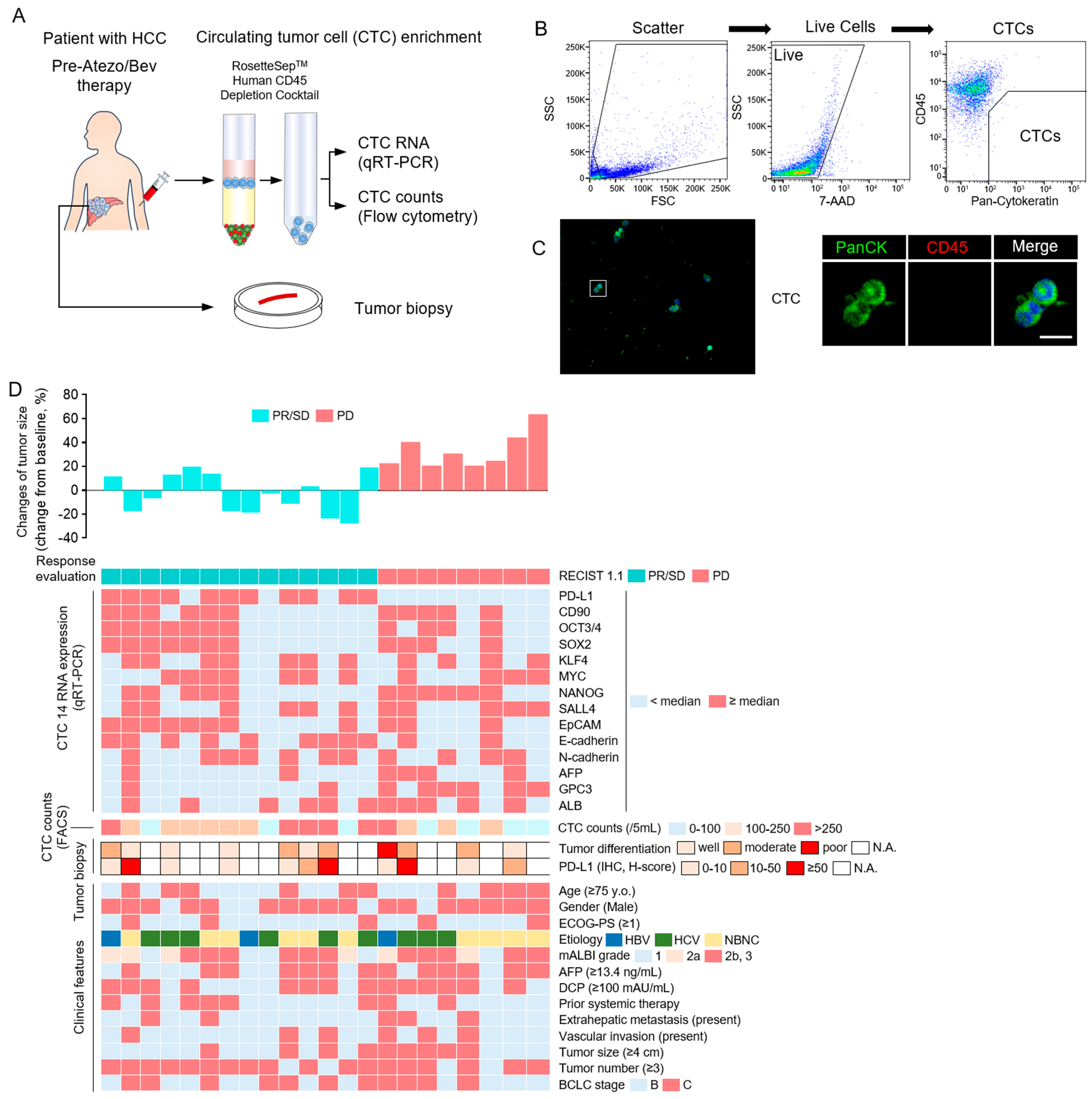 Cancers 16 01785 g001