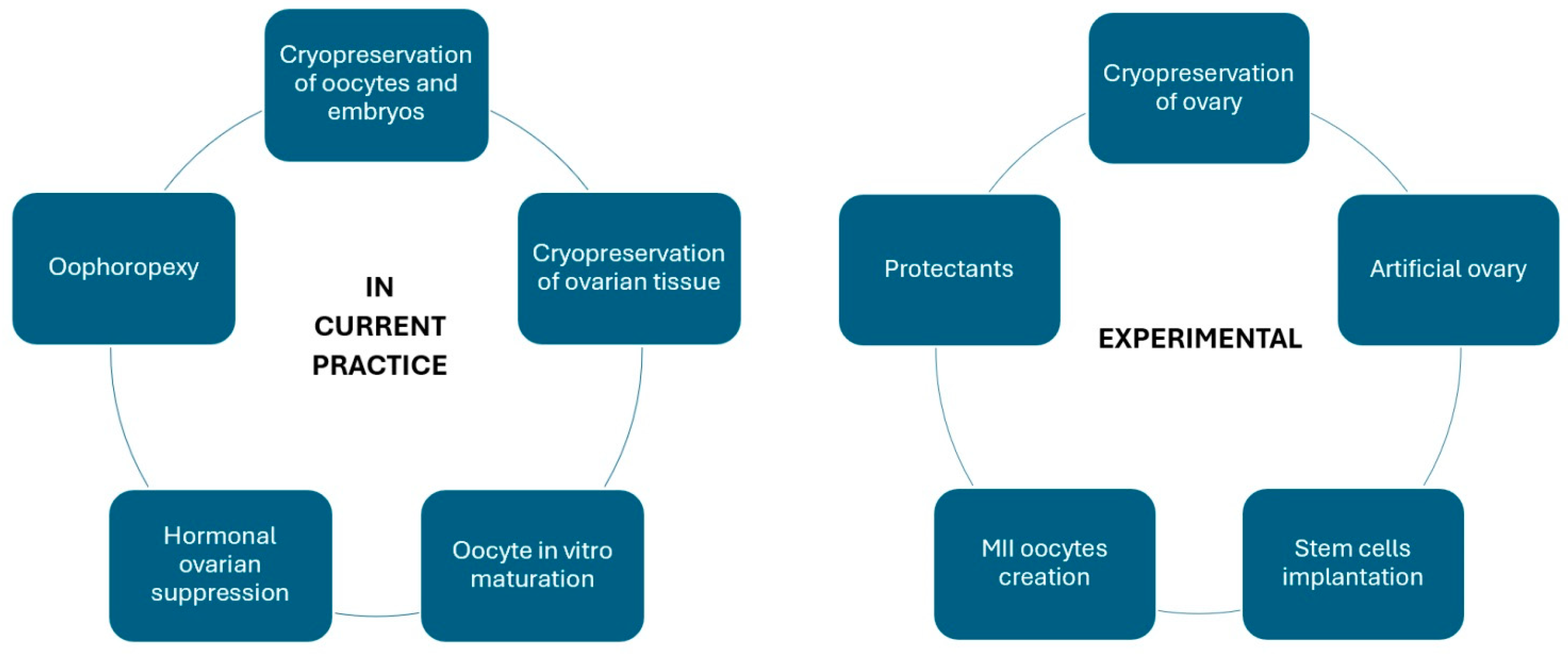 Cancers 16 01858 g002 Cancers 16 01858 g002