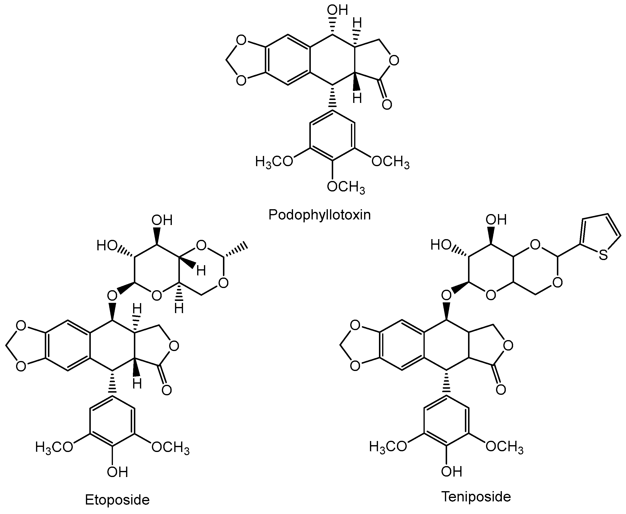 Cancers 16 01878 g001 Cancers 16 01878 g001