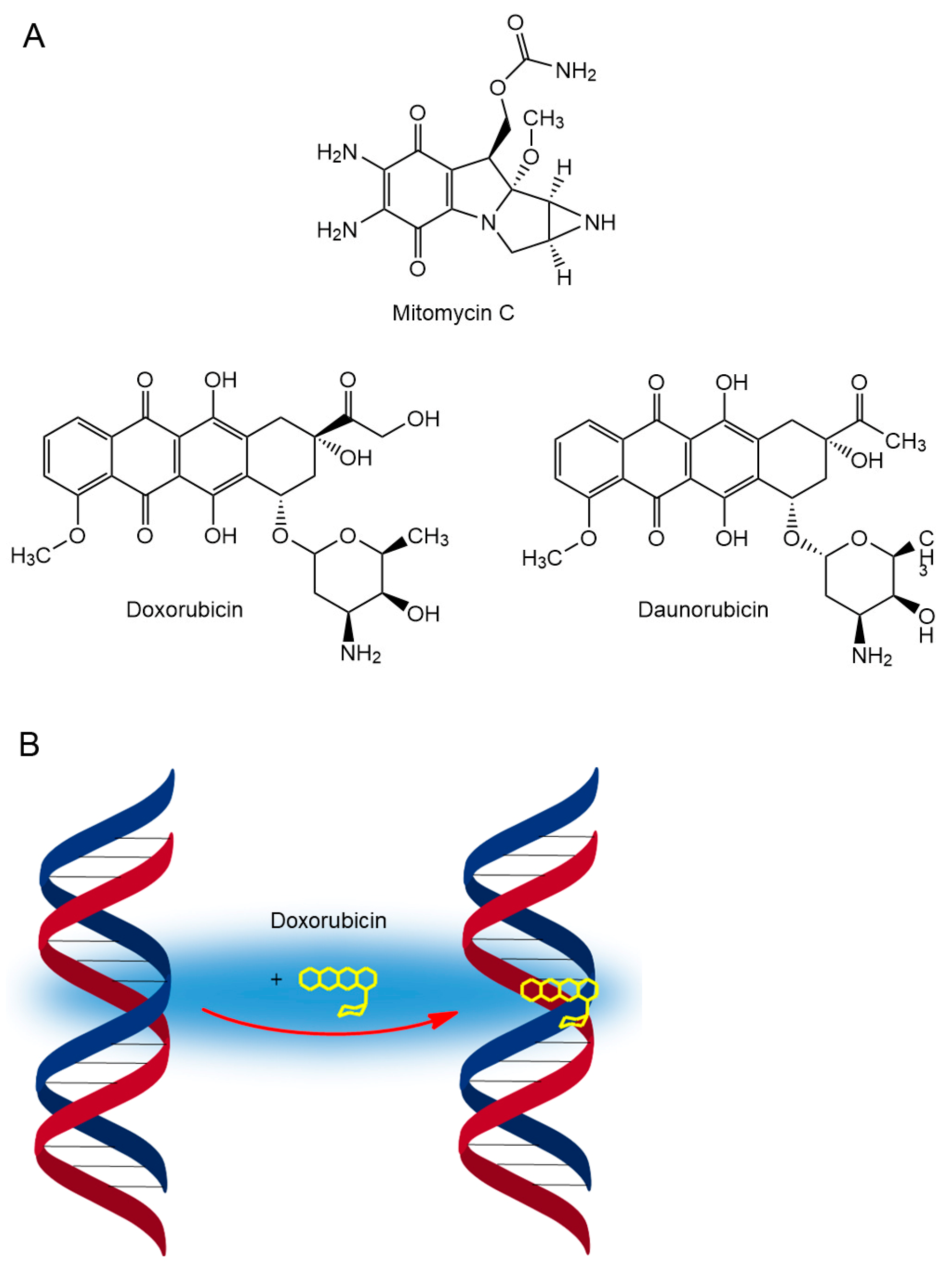 Cancers 16 01878 g006 Cancers 16 01878 g006