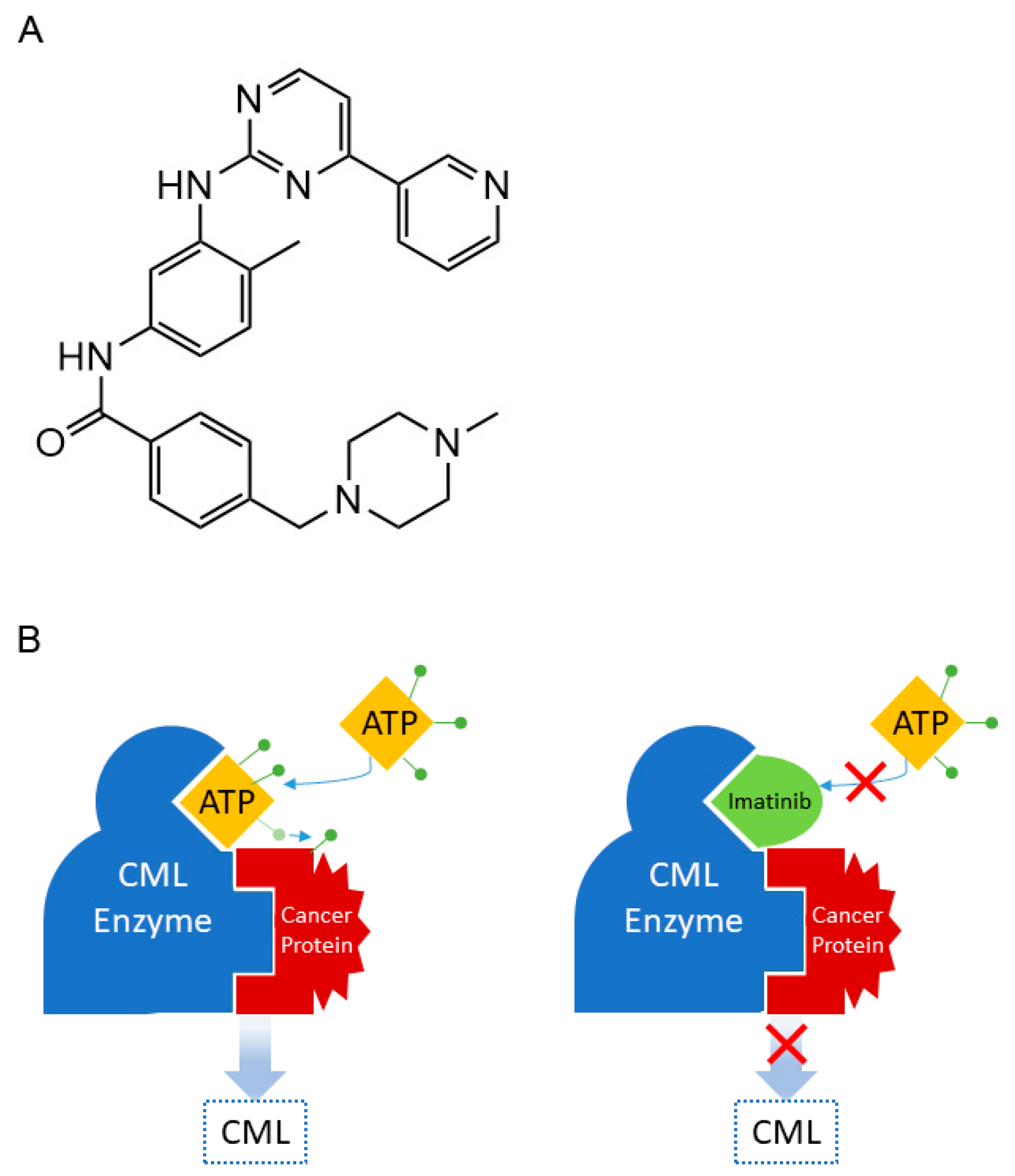 Cancers 16 01878 g014 Cancers 16 01878 g014