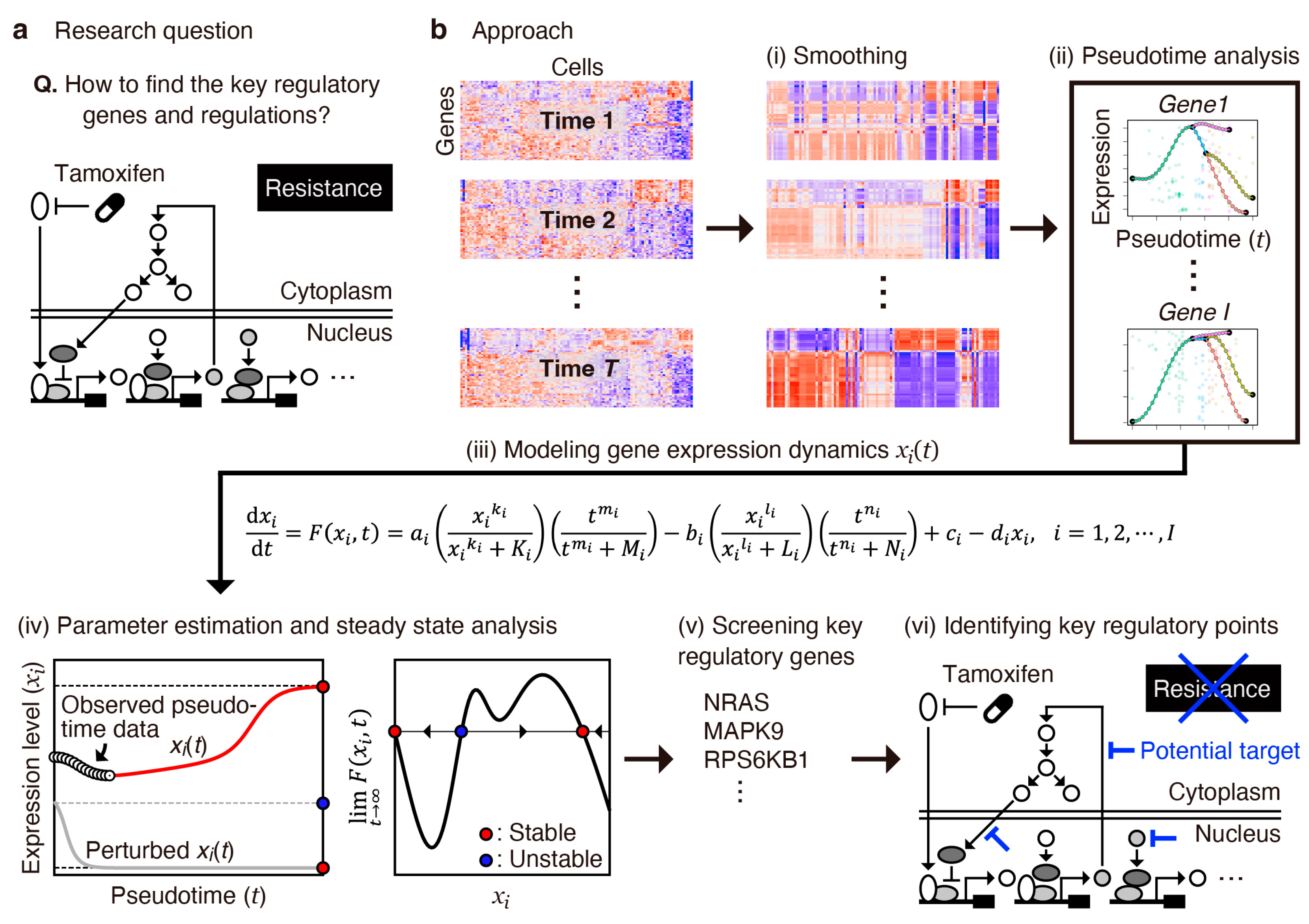 Cancers 16 01884 g001