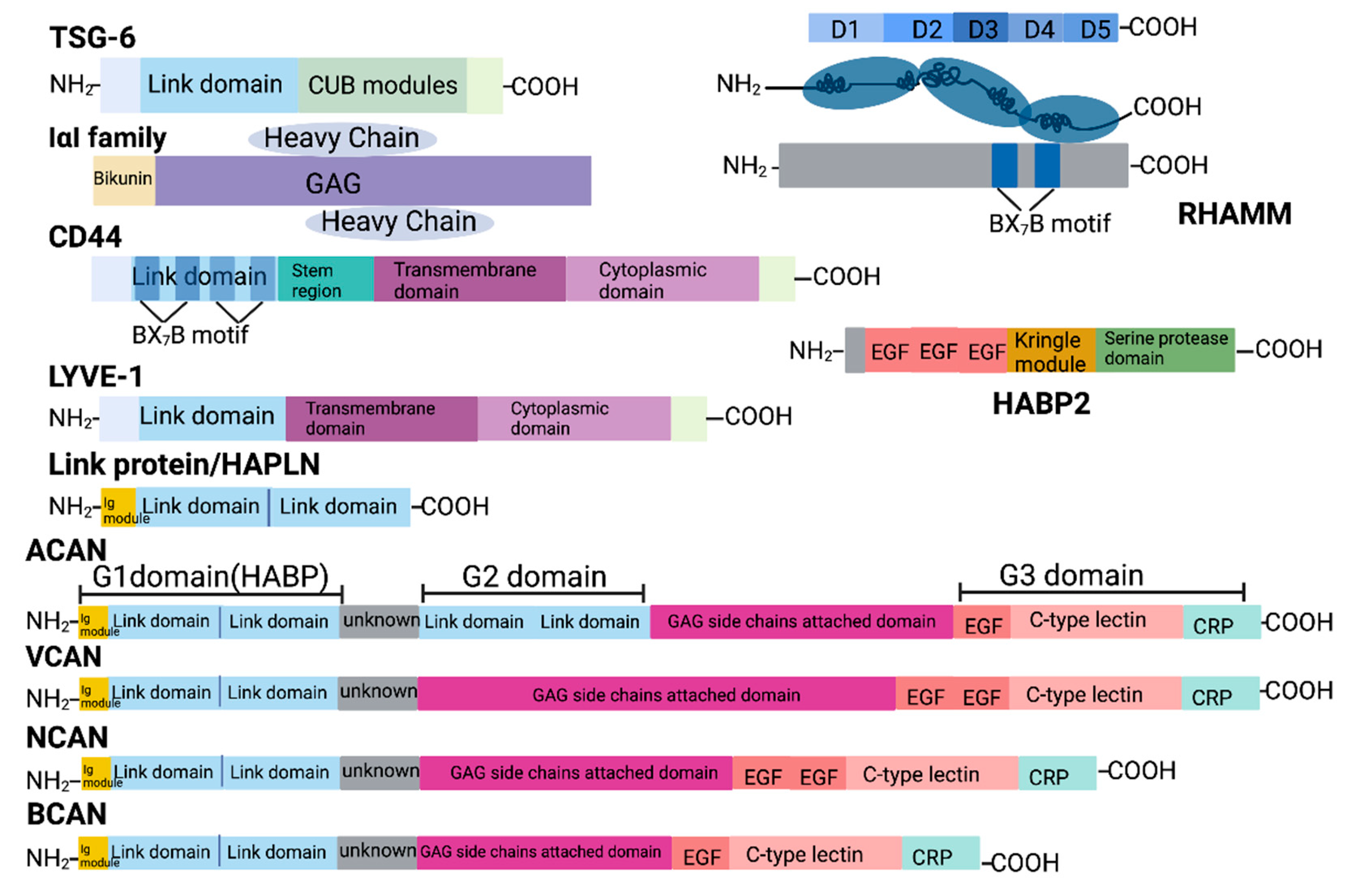 Cancers 16 01907 g002 Cancers 16 01907 g002