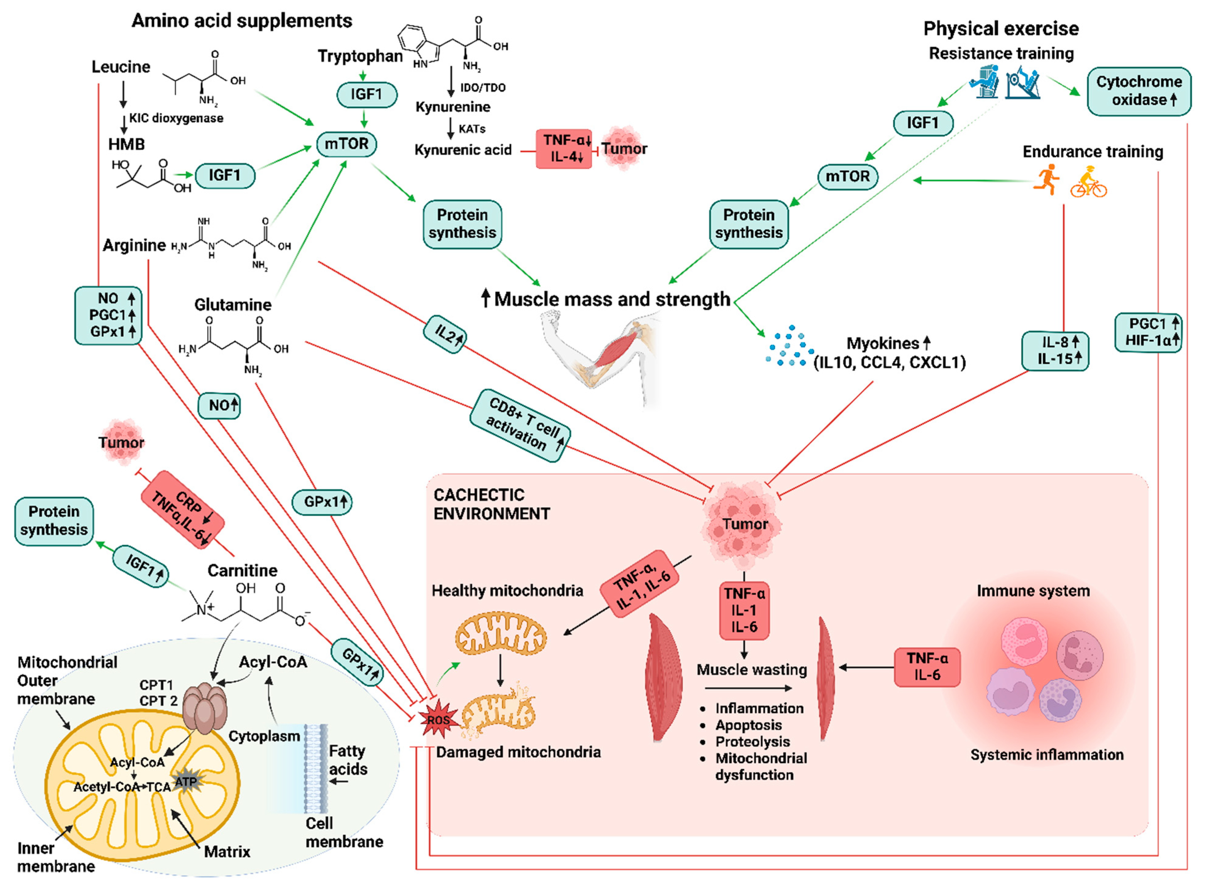 Cancers 16 01921 g001