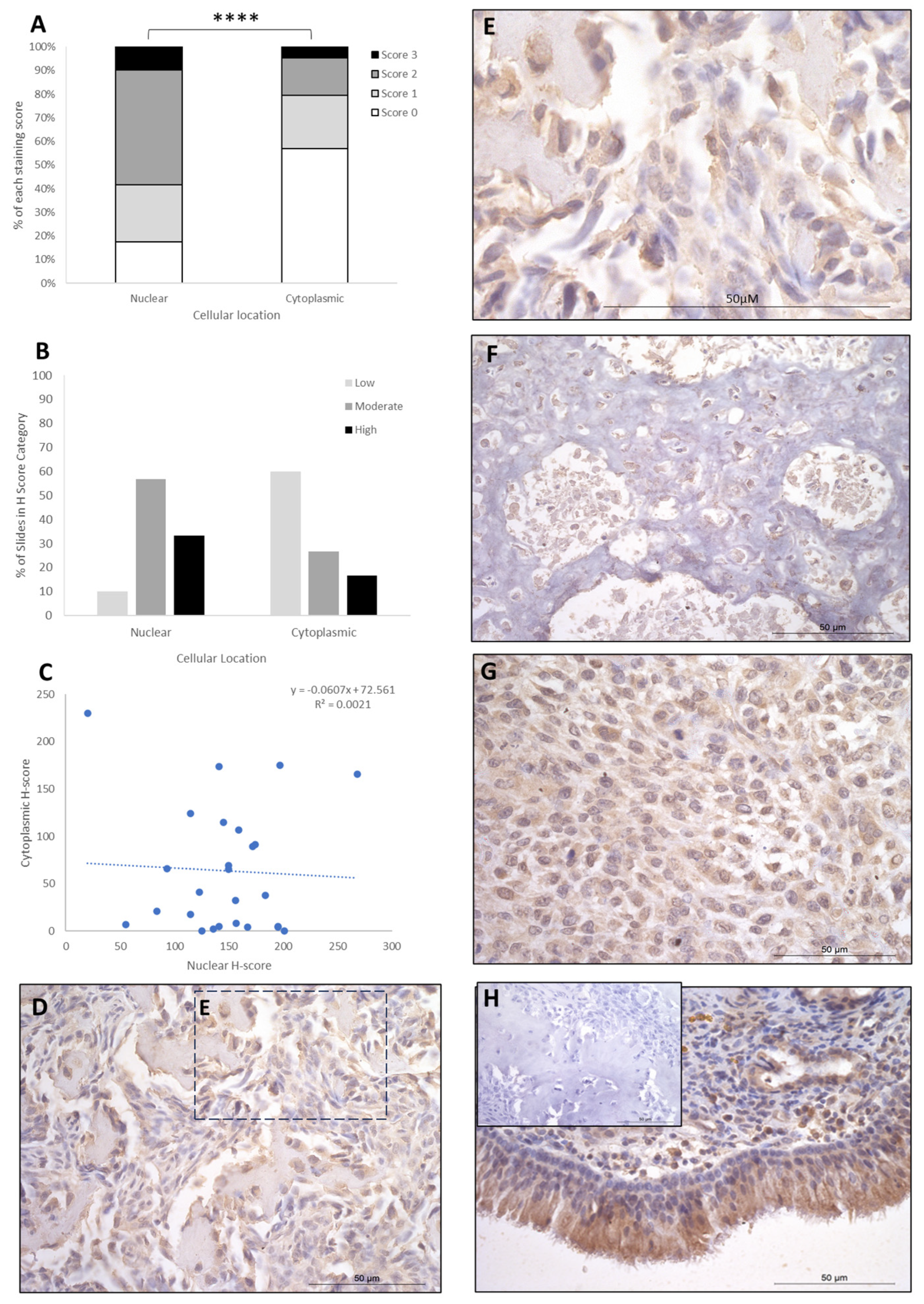 Cancers 16 01945 g003