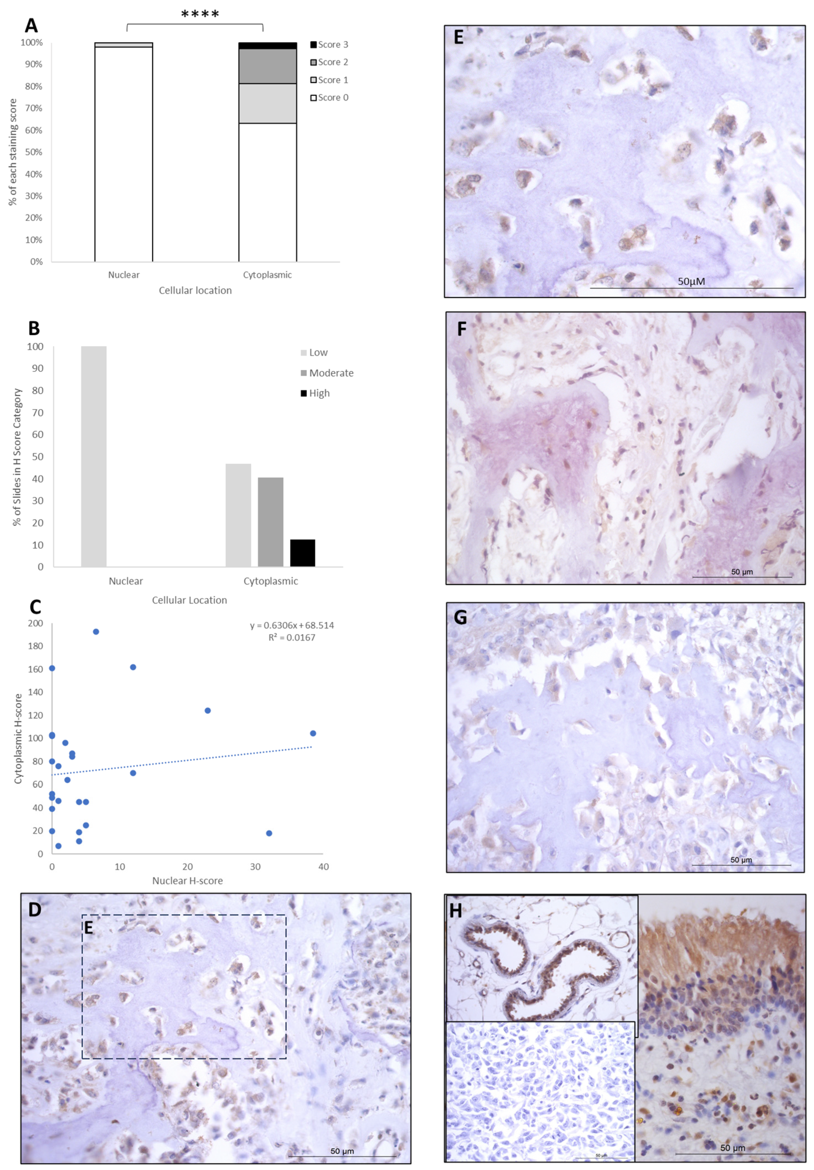 Cancers 16 01945 g004