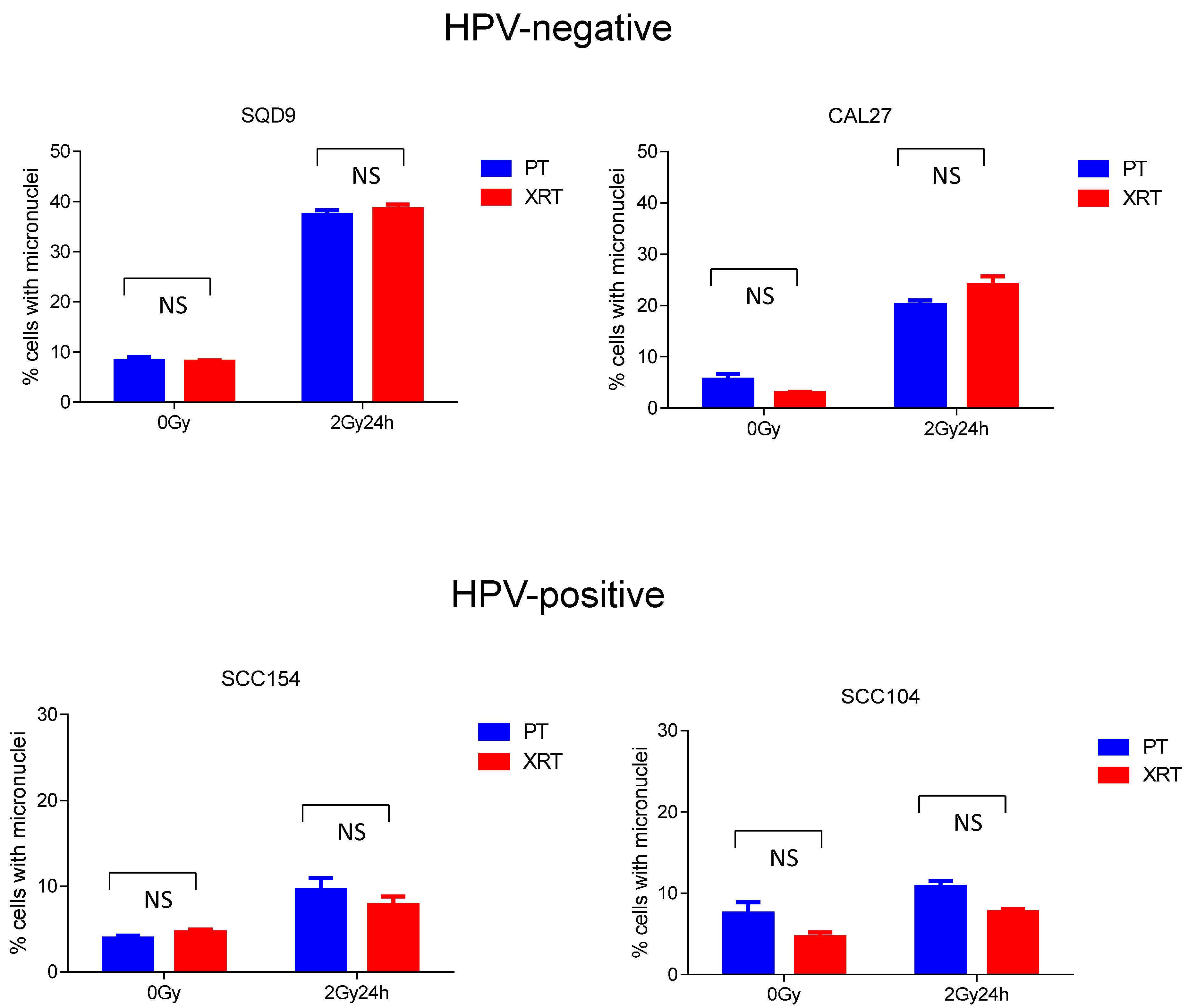 Cancers 16 01959 g002