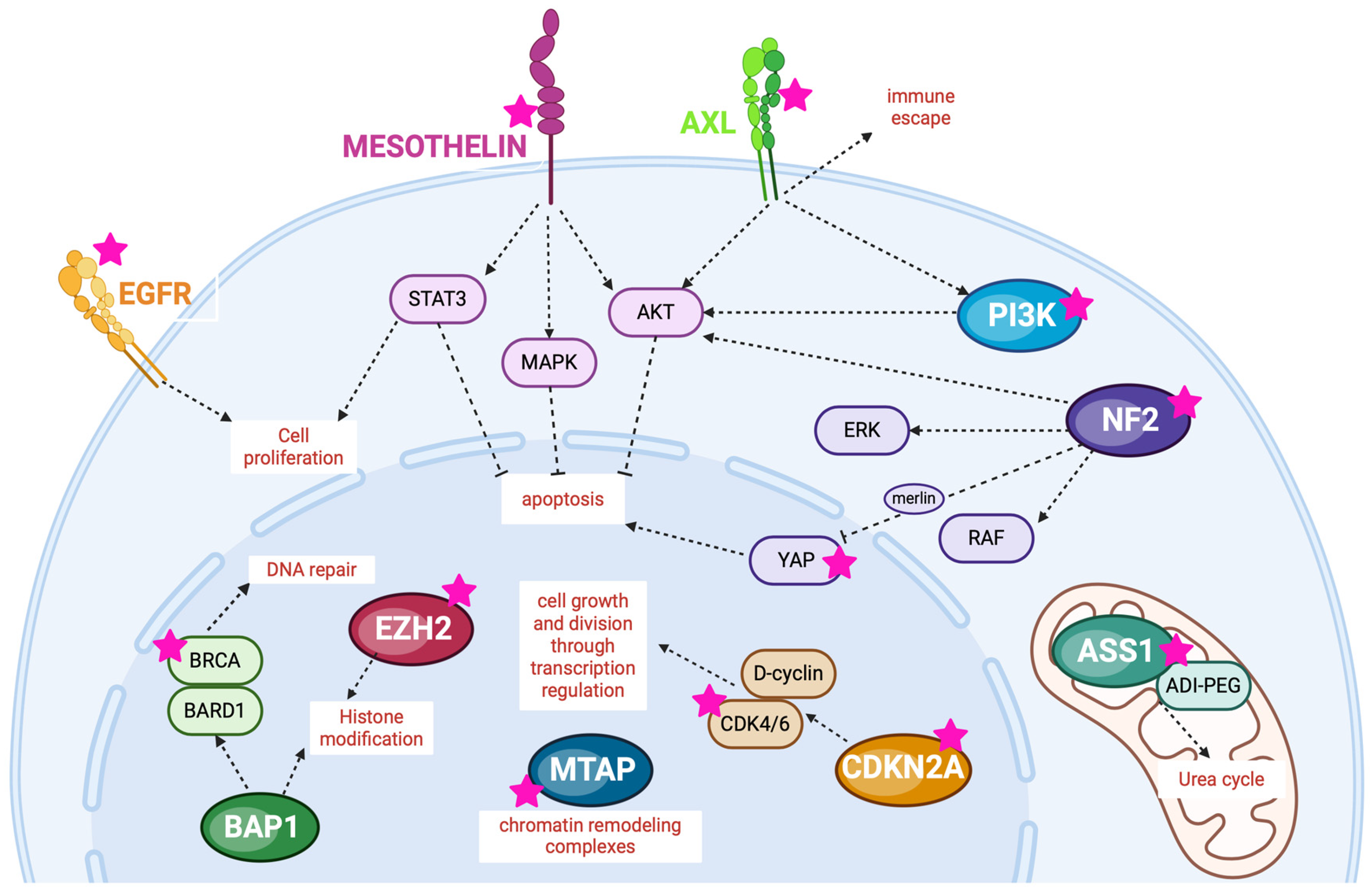 Cancers 16 01971 g001