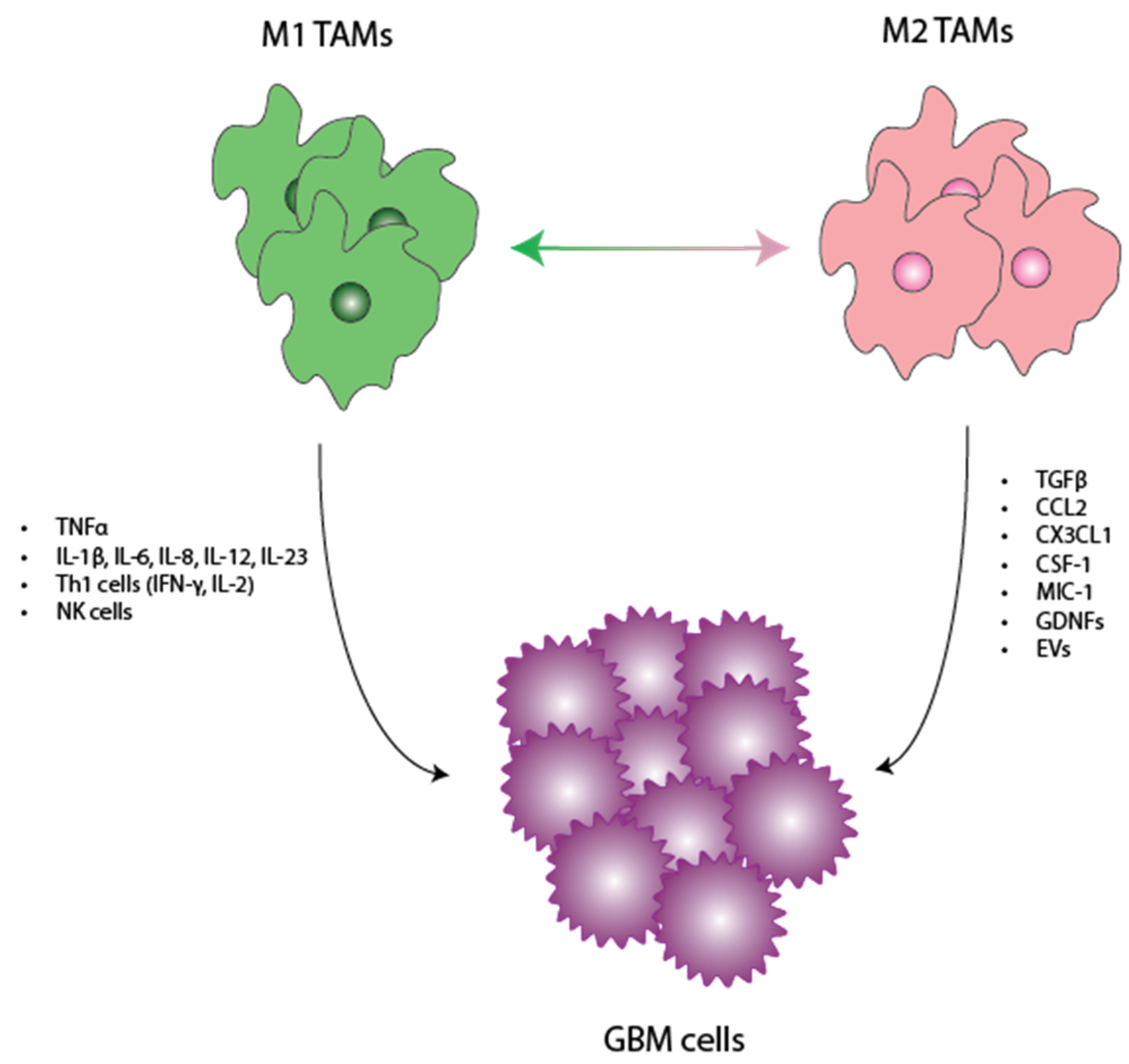 Cancers 16 01972 g001
