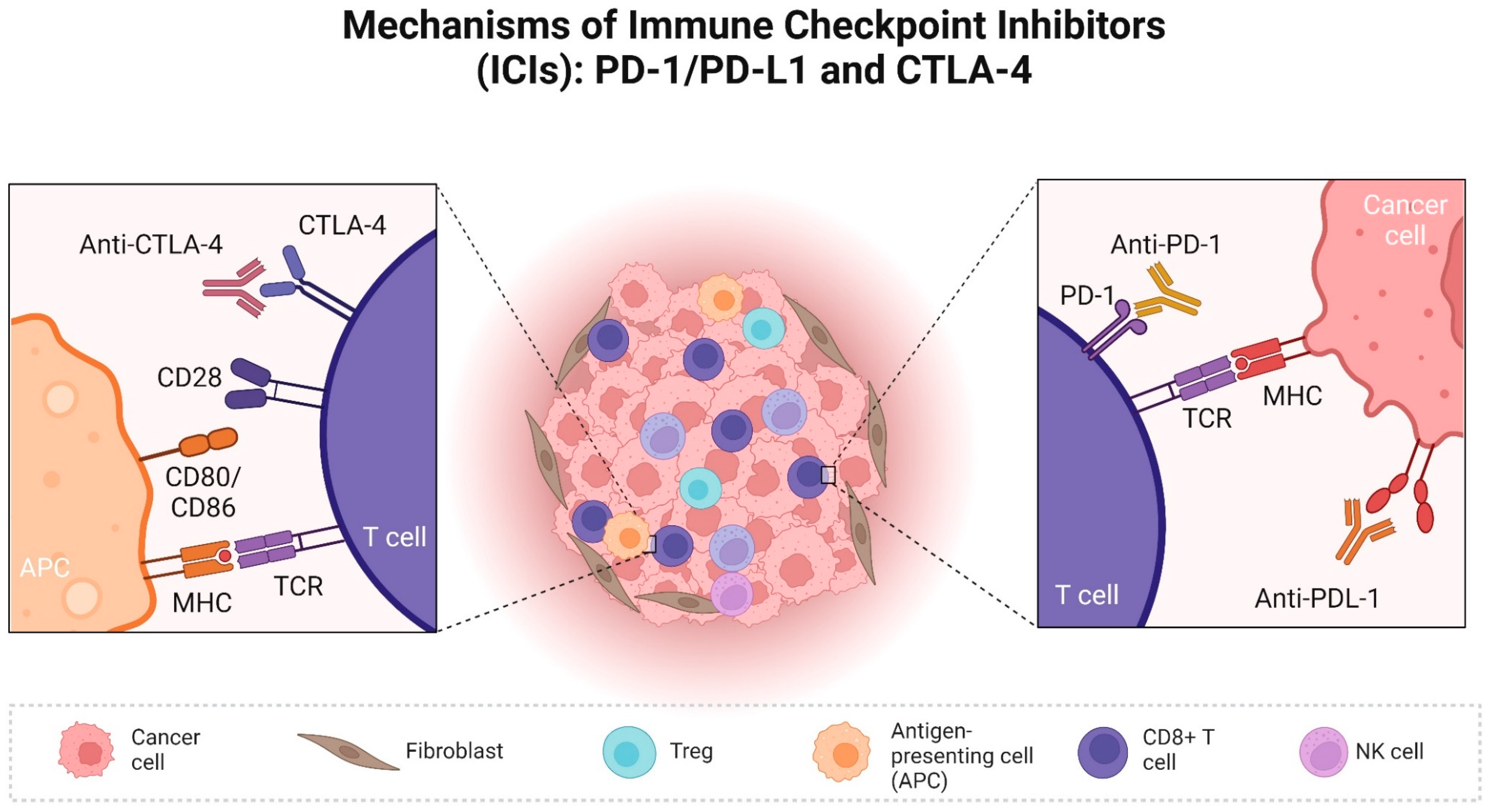 Cancers 16 02003 g001