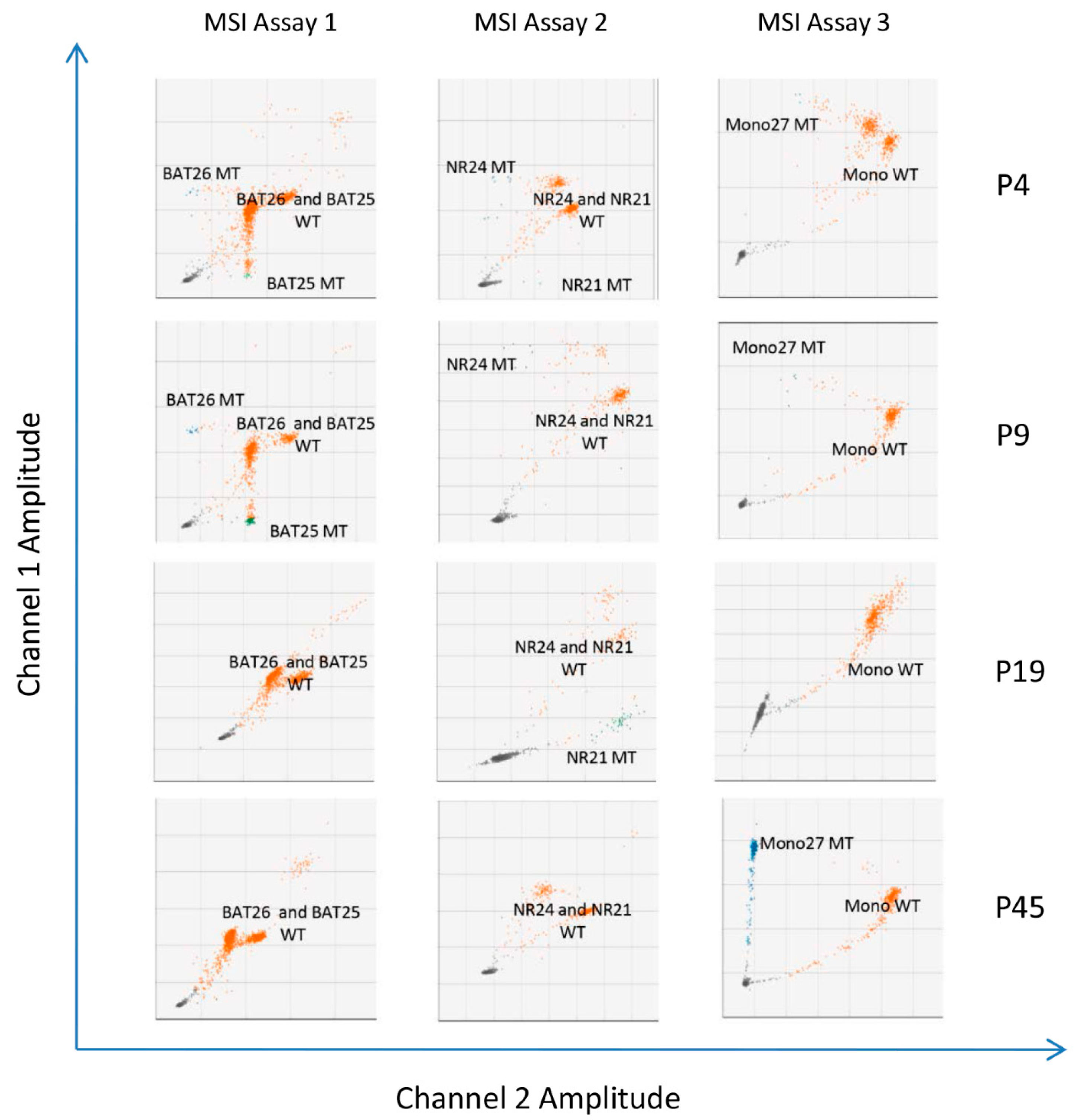 Cancers 16 02005 g002