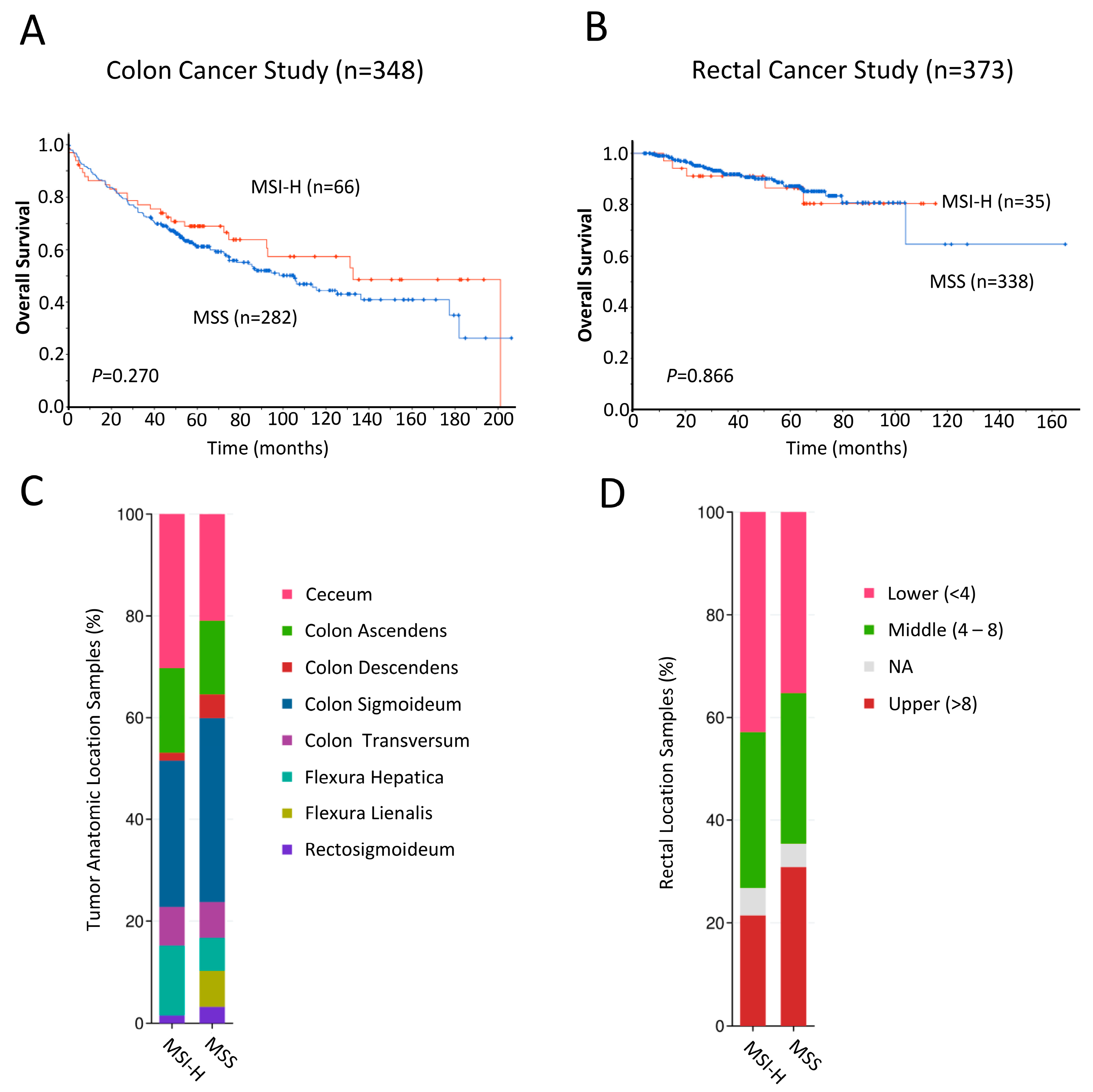 Cancers 16 02005 g004