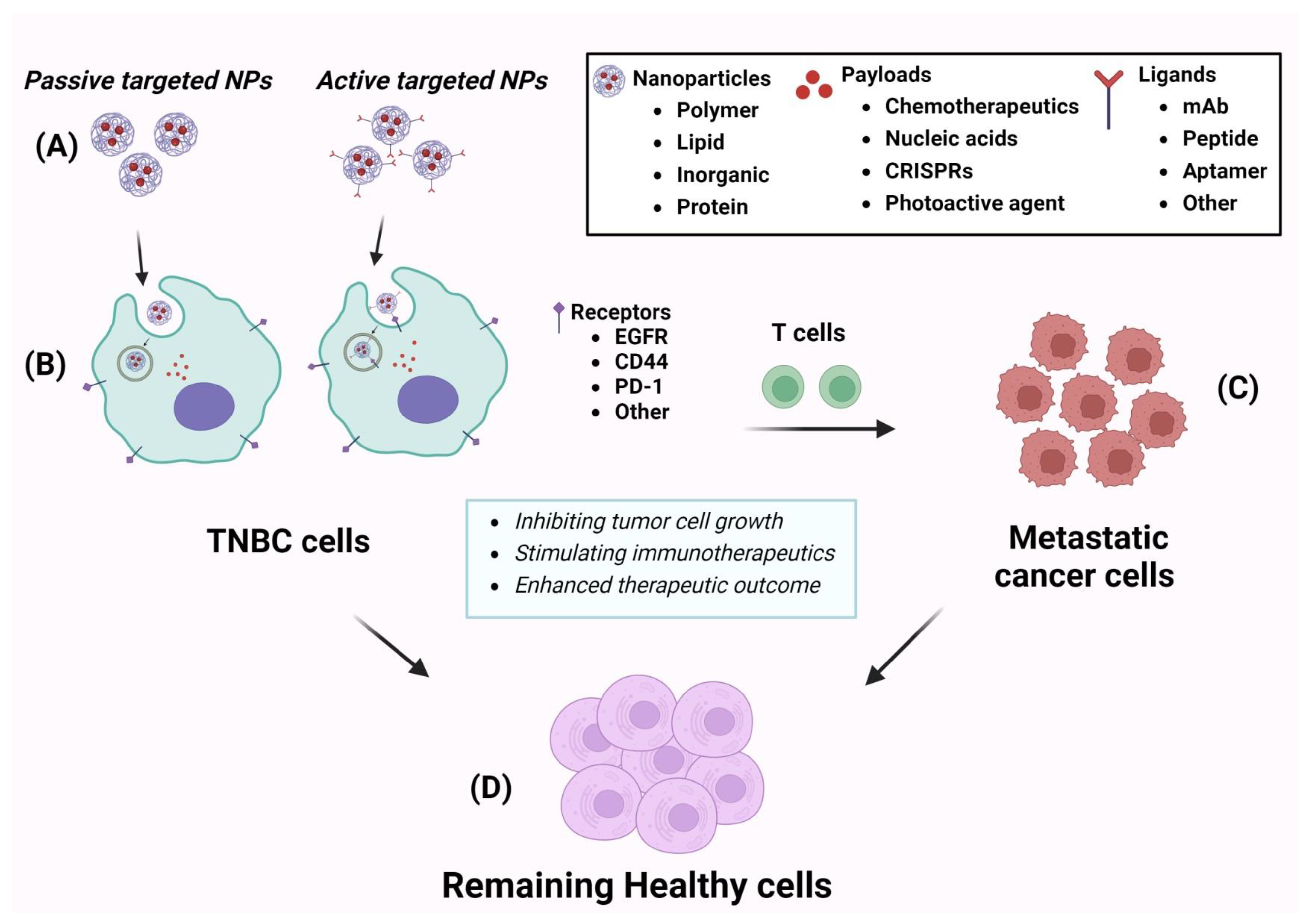 Cancers 16 02012 g002