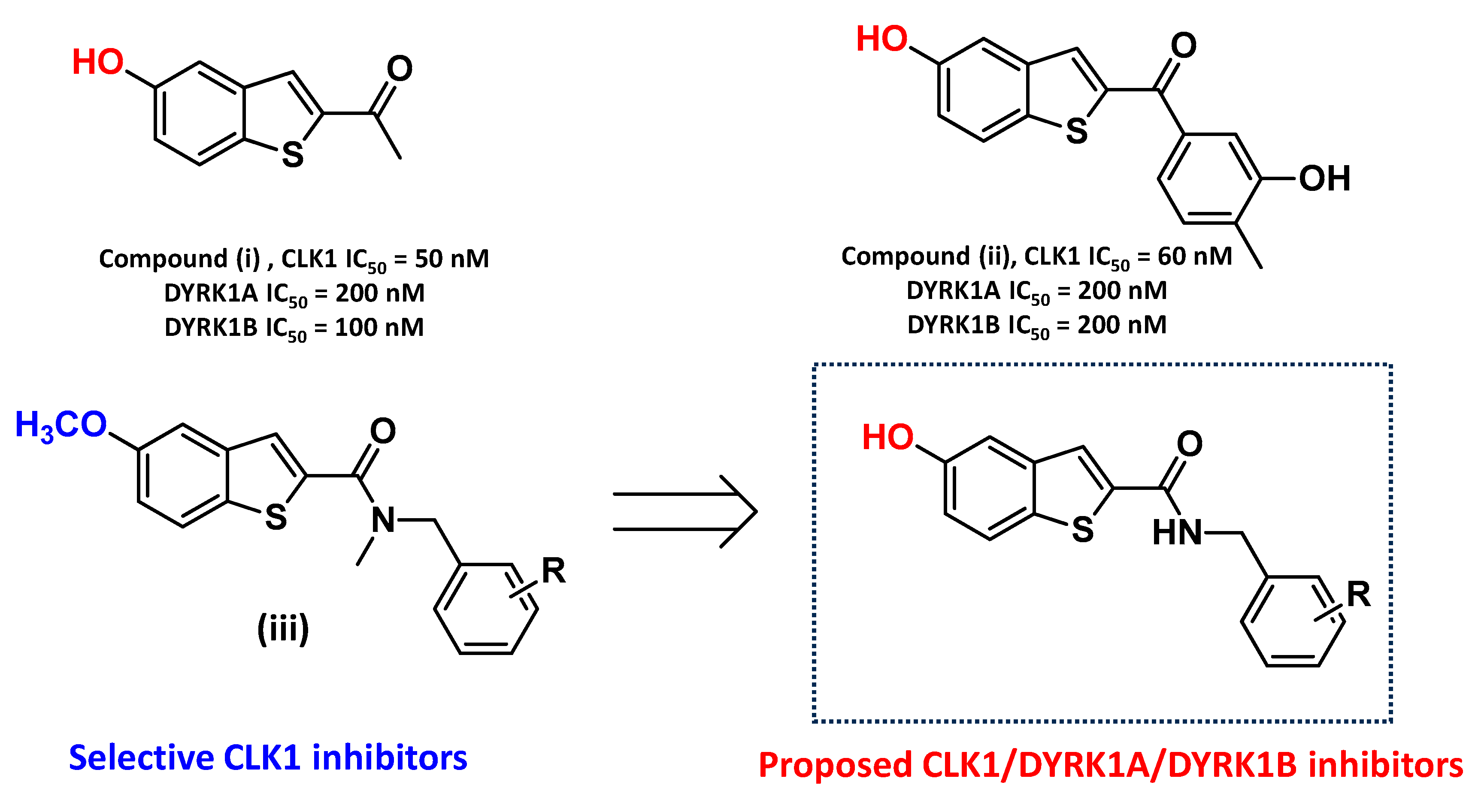 Cancers 16 02033 g001