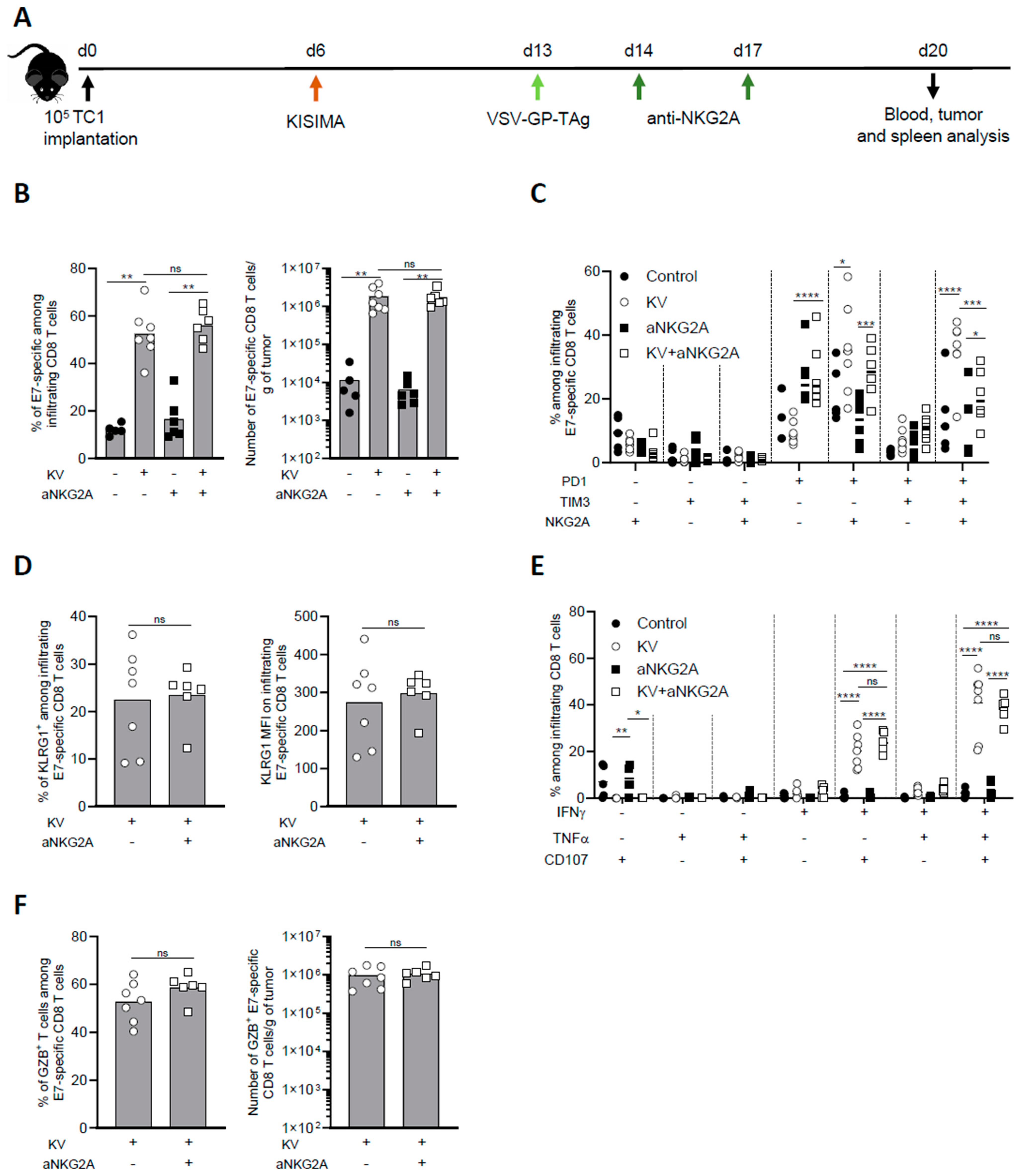 Cancers 16 02036 g002