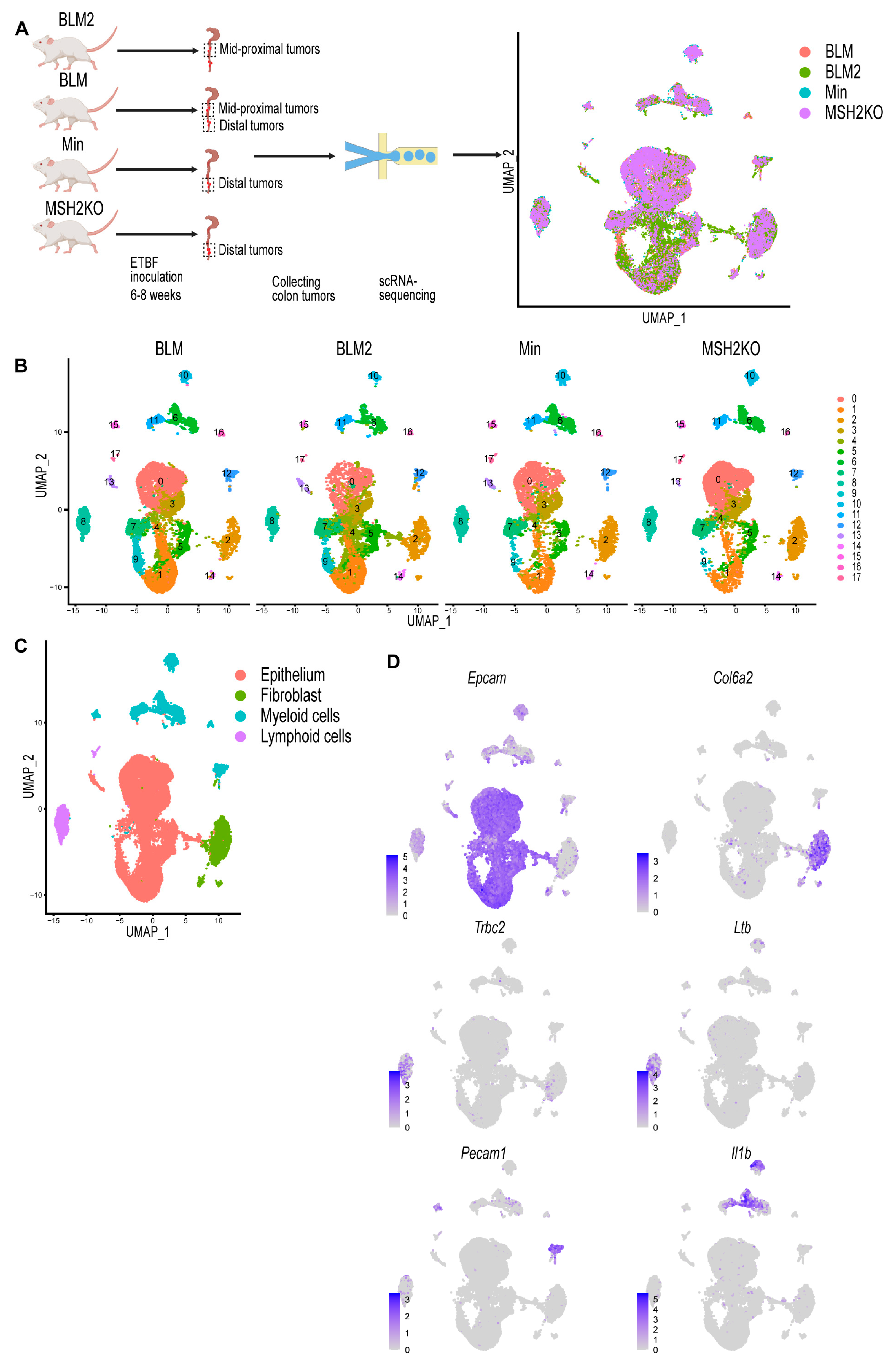 Cancers 16 02040 g001