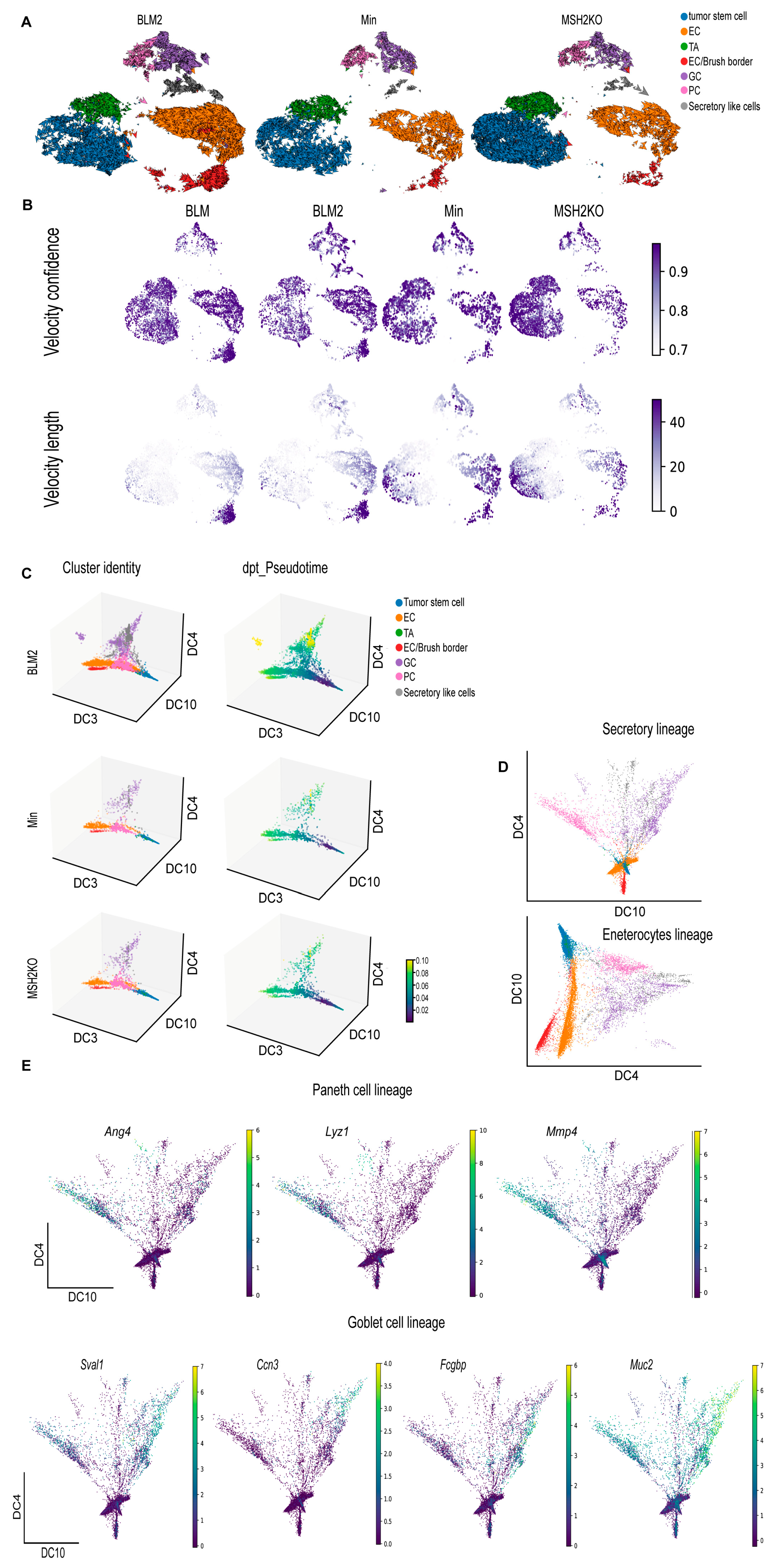 Cancers 16 02040 g004