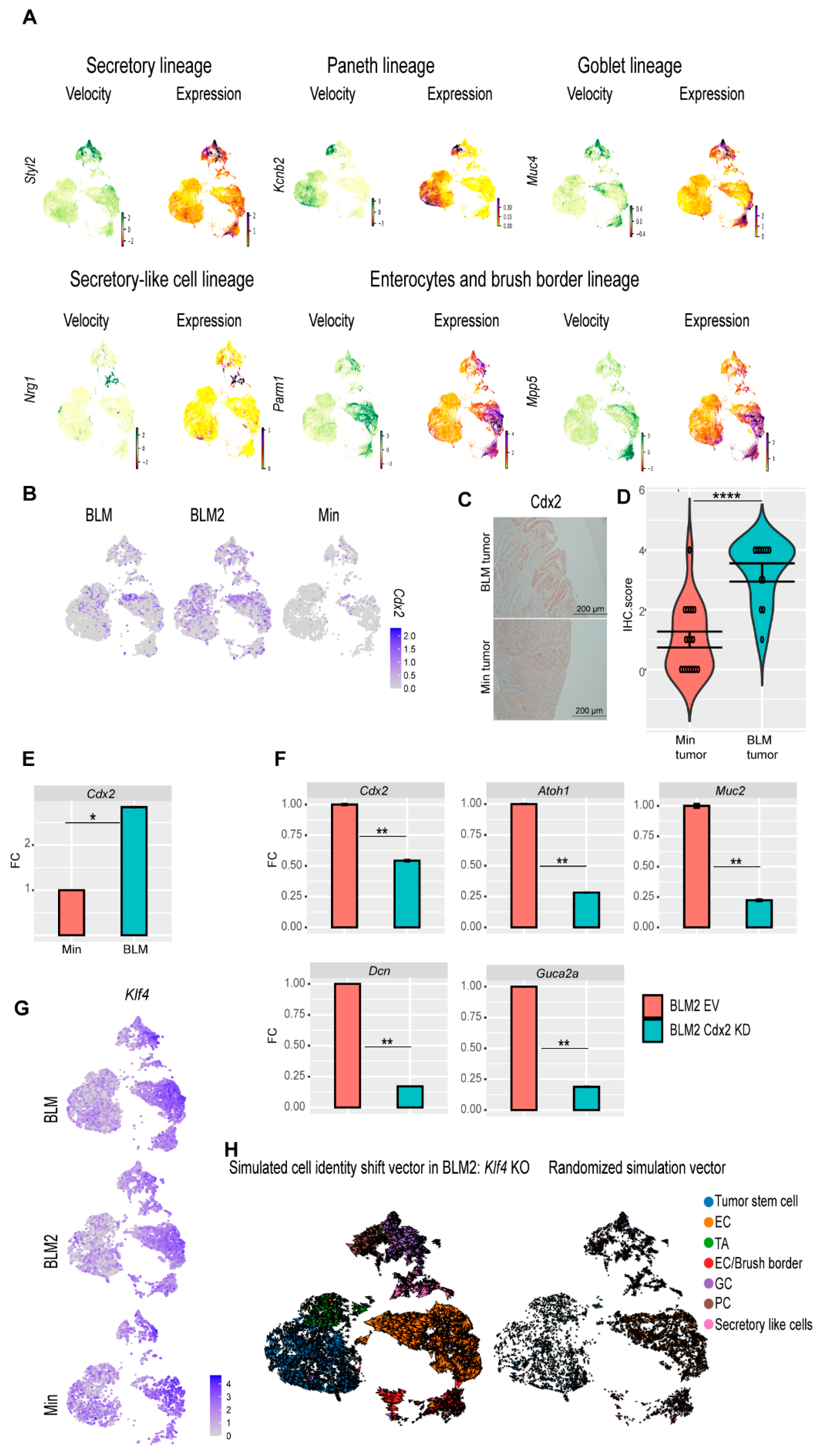 Cancers 16 02040 g006