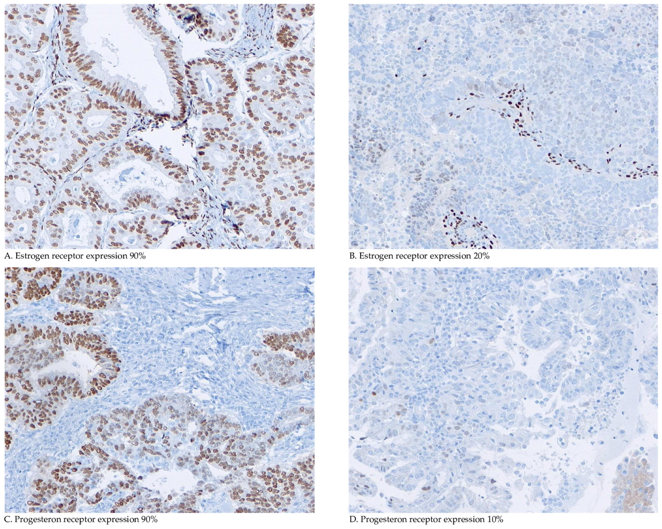 Cancers 16 02084 g001