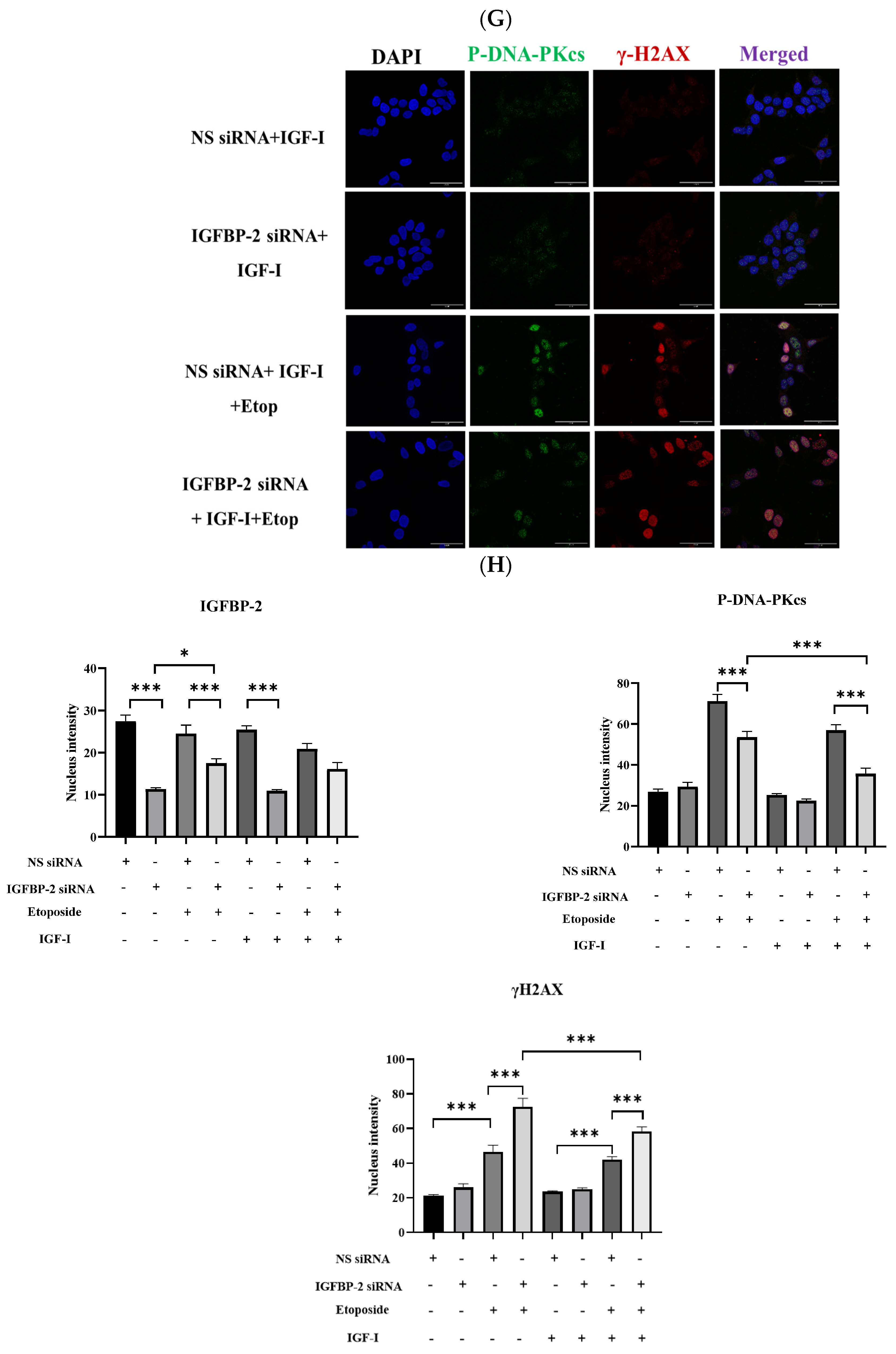 Cancers 16 02113 g003c