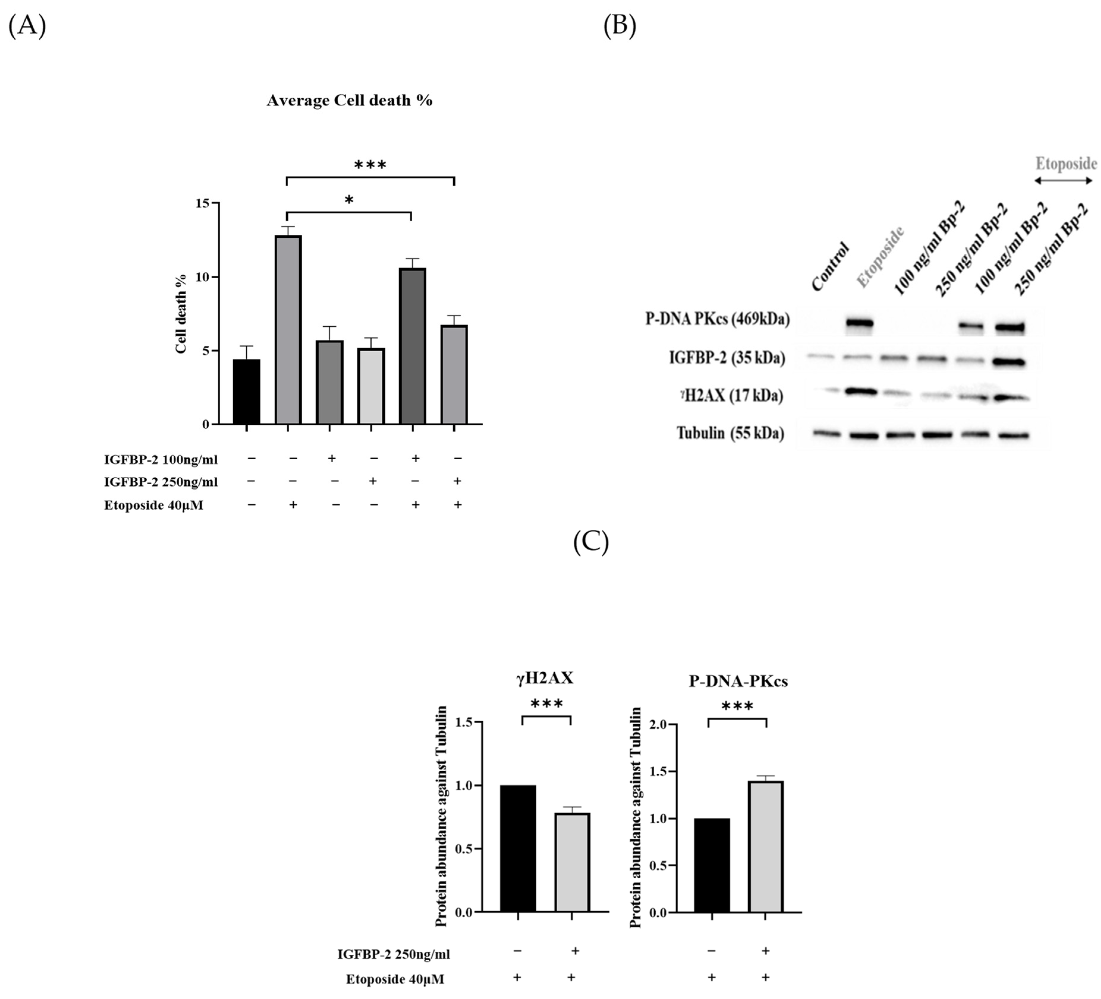 Cancers 16 02113 g004