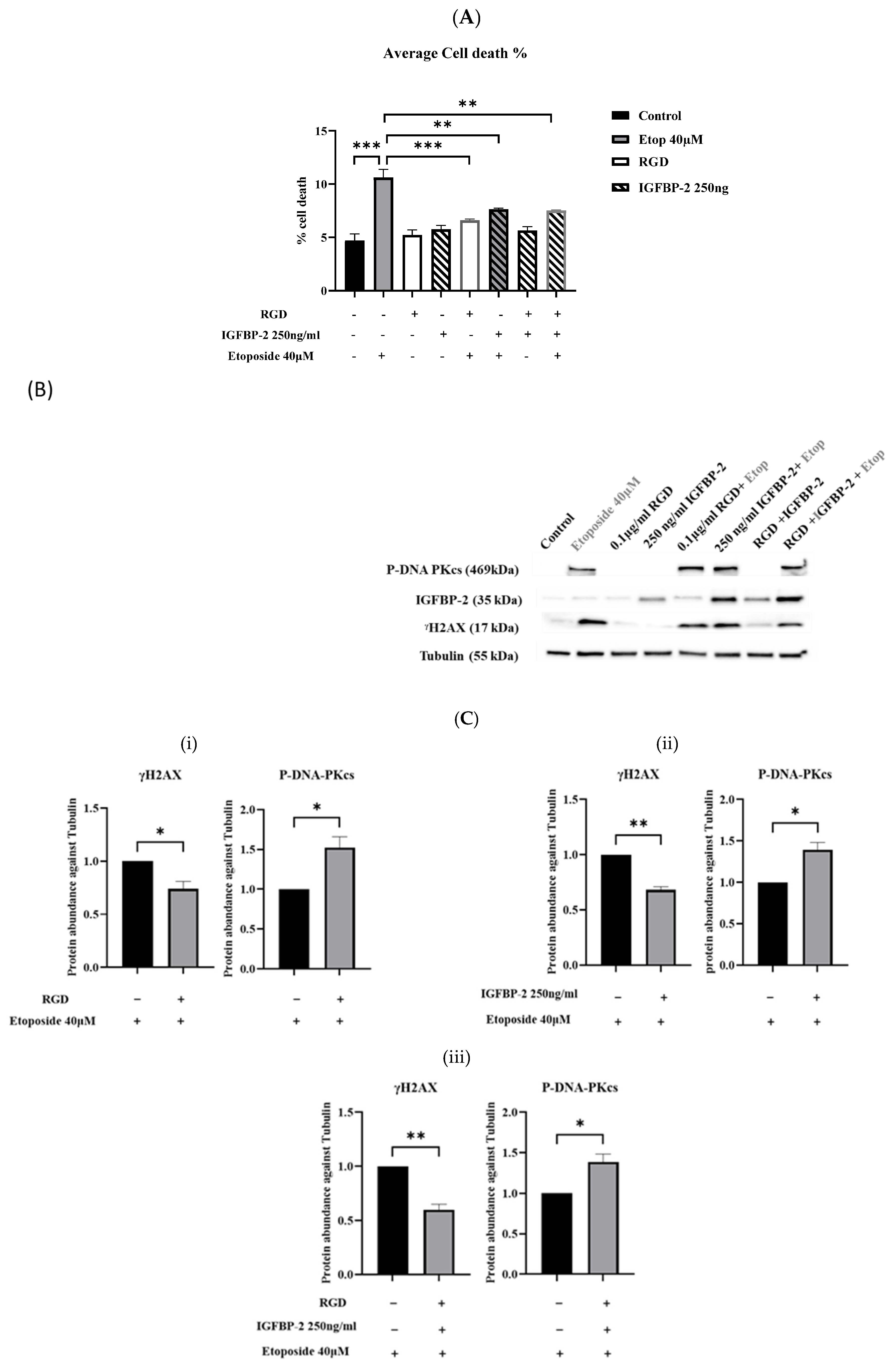 Cancers 16 02113 g005