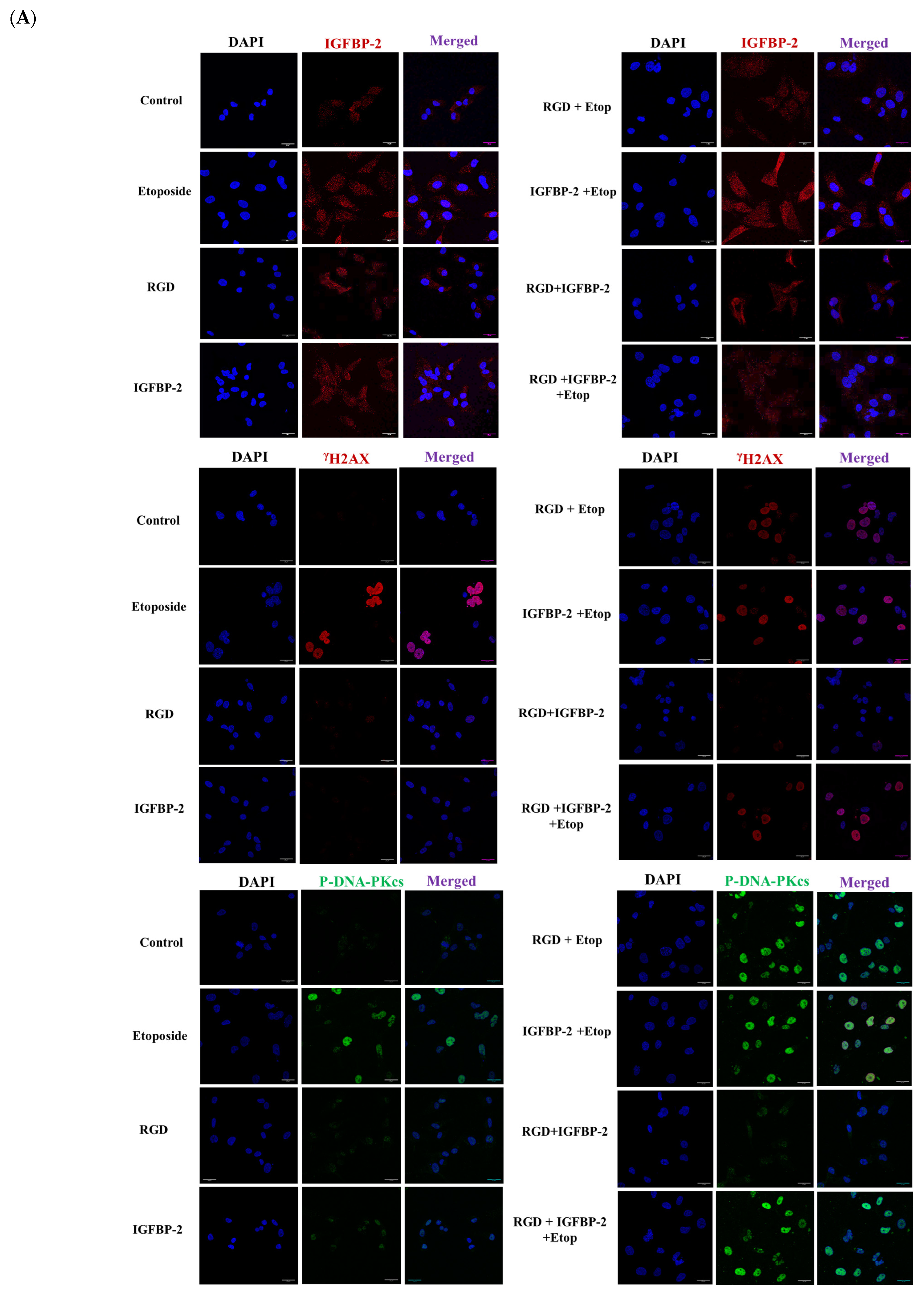 Cancers 16 02113 g006a