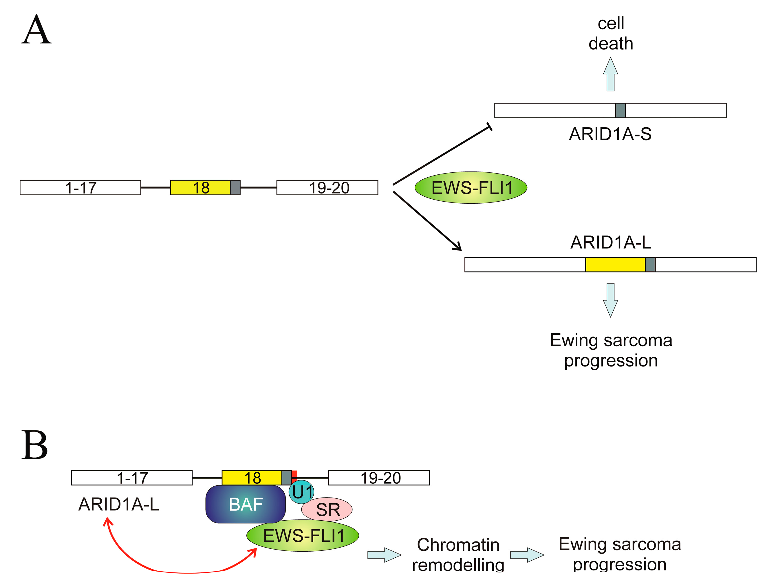 Cancers 16 02123 g006