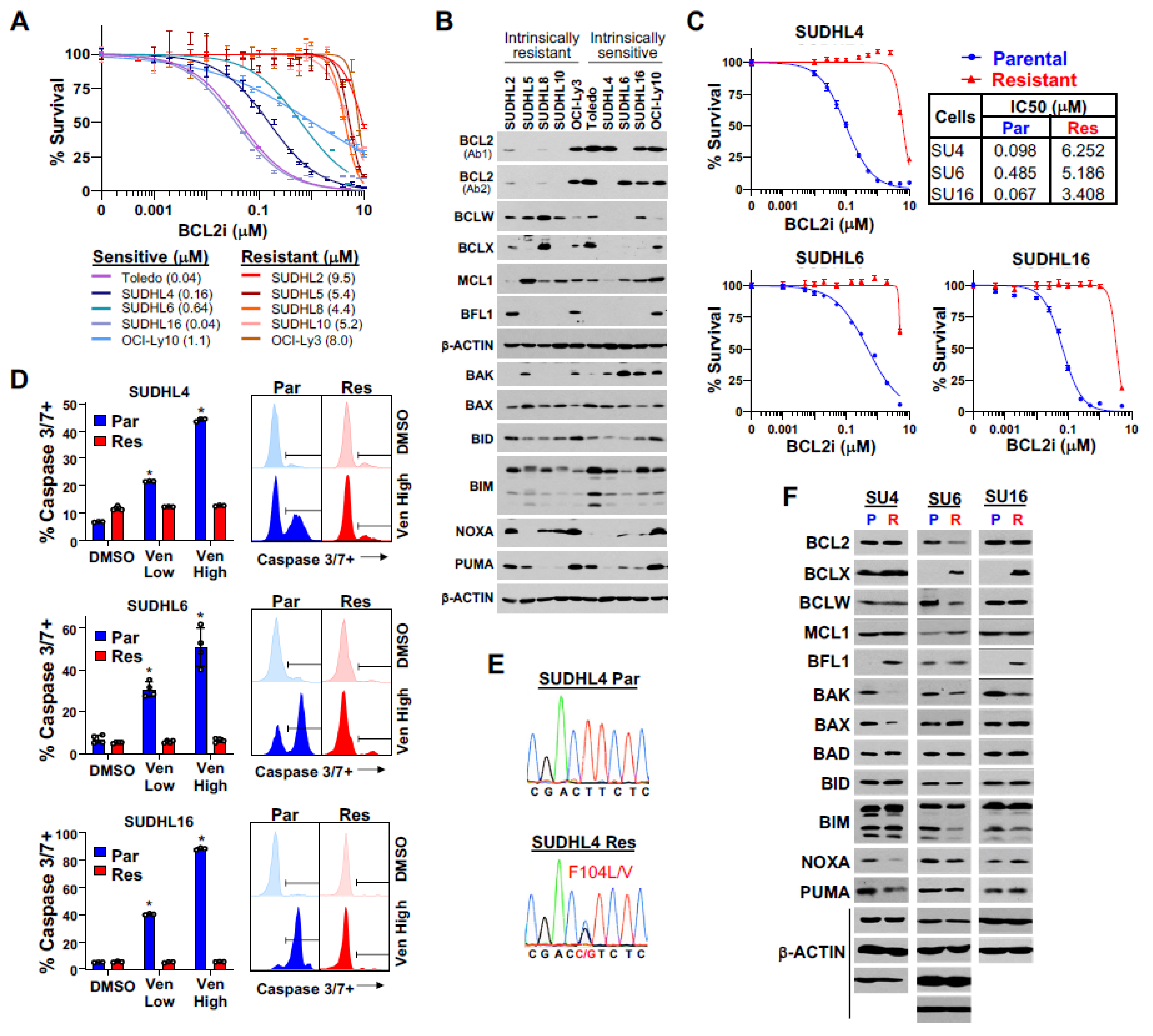 Cancers 16 02130 g001