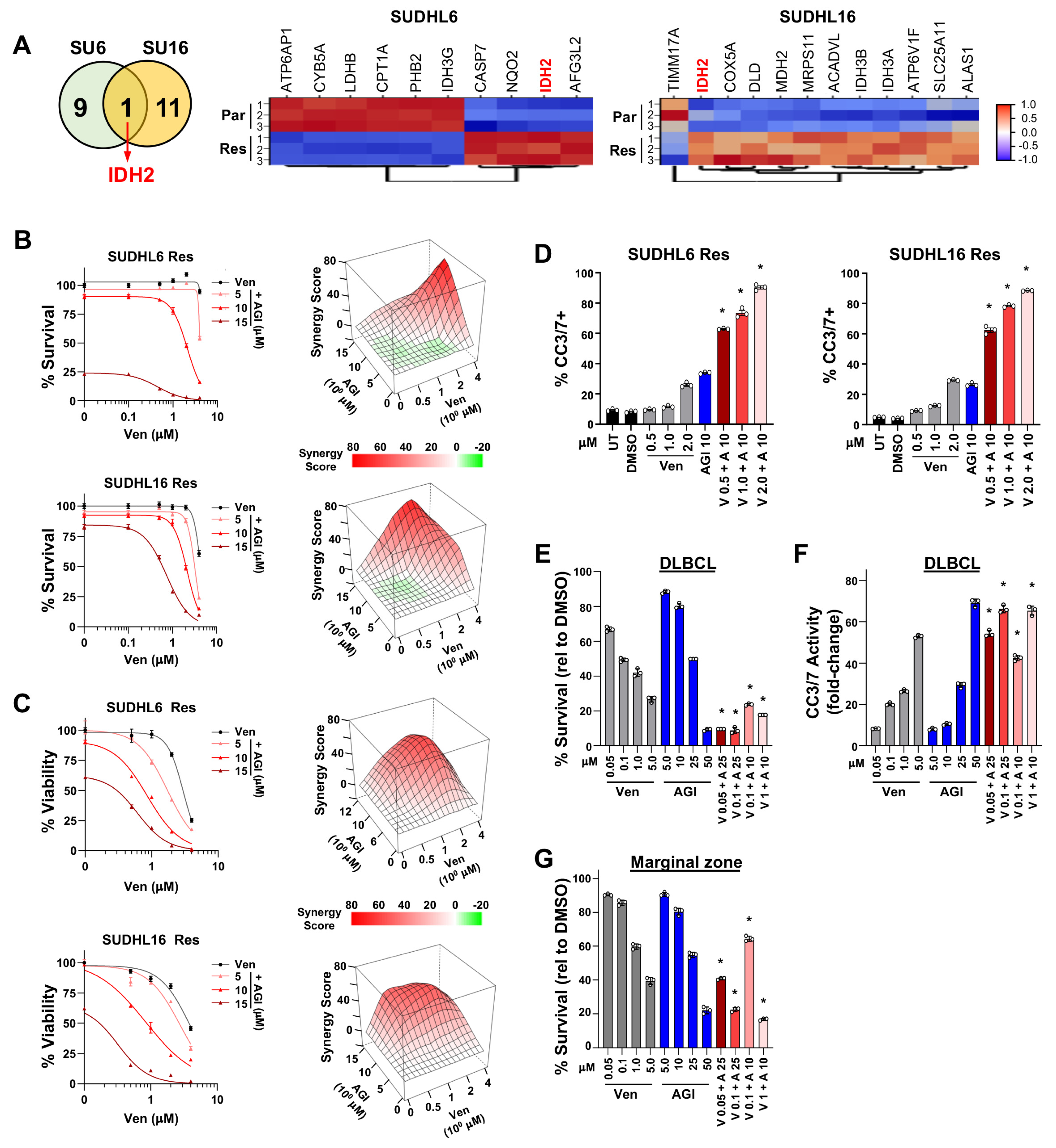 Cancers 16 02130 g004