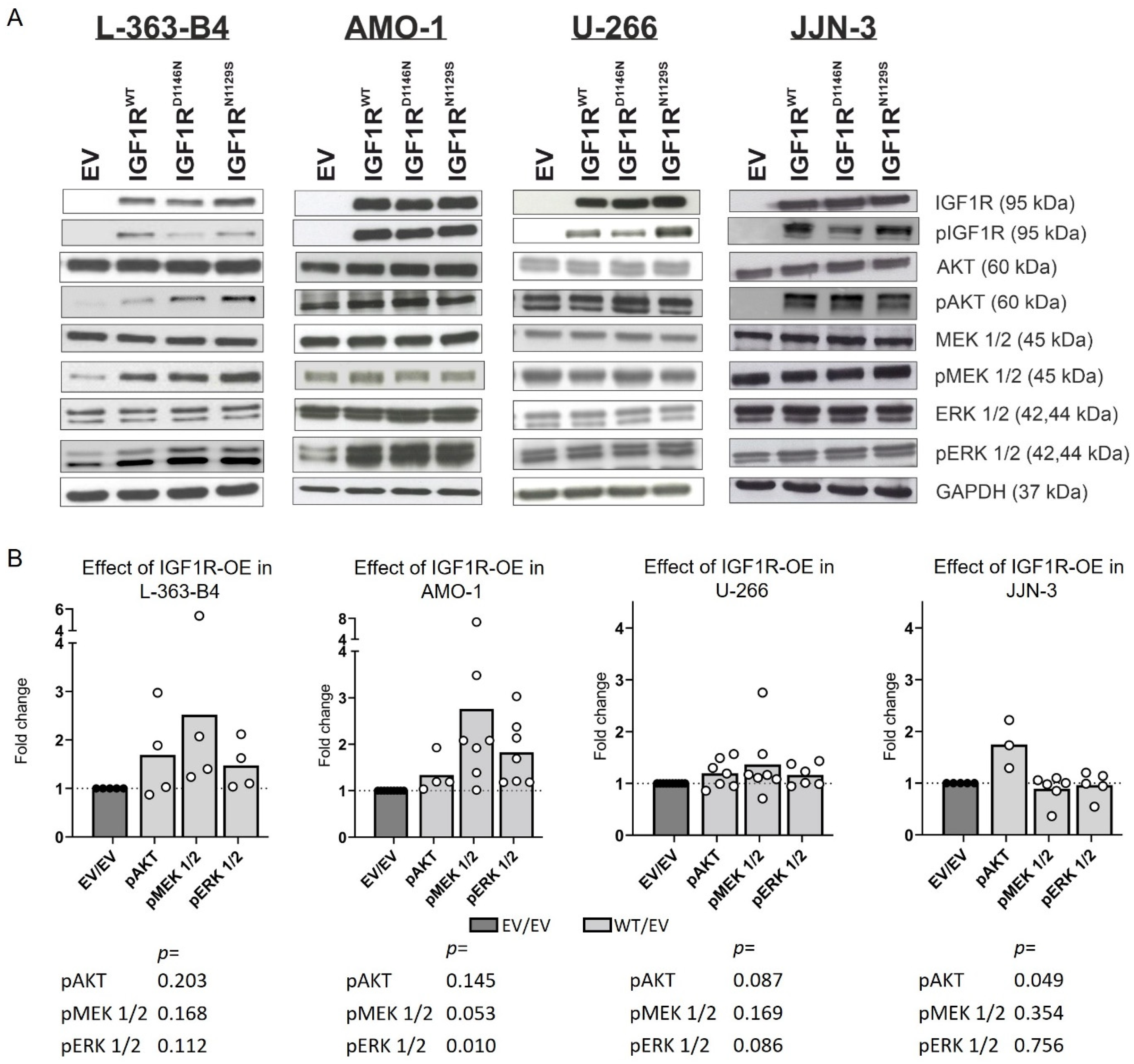 Cancers 16 02139 g002