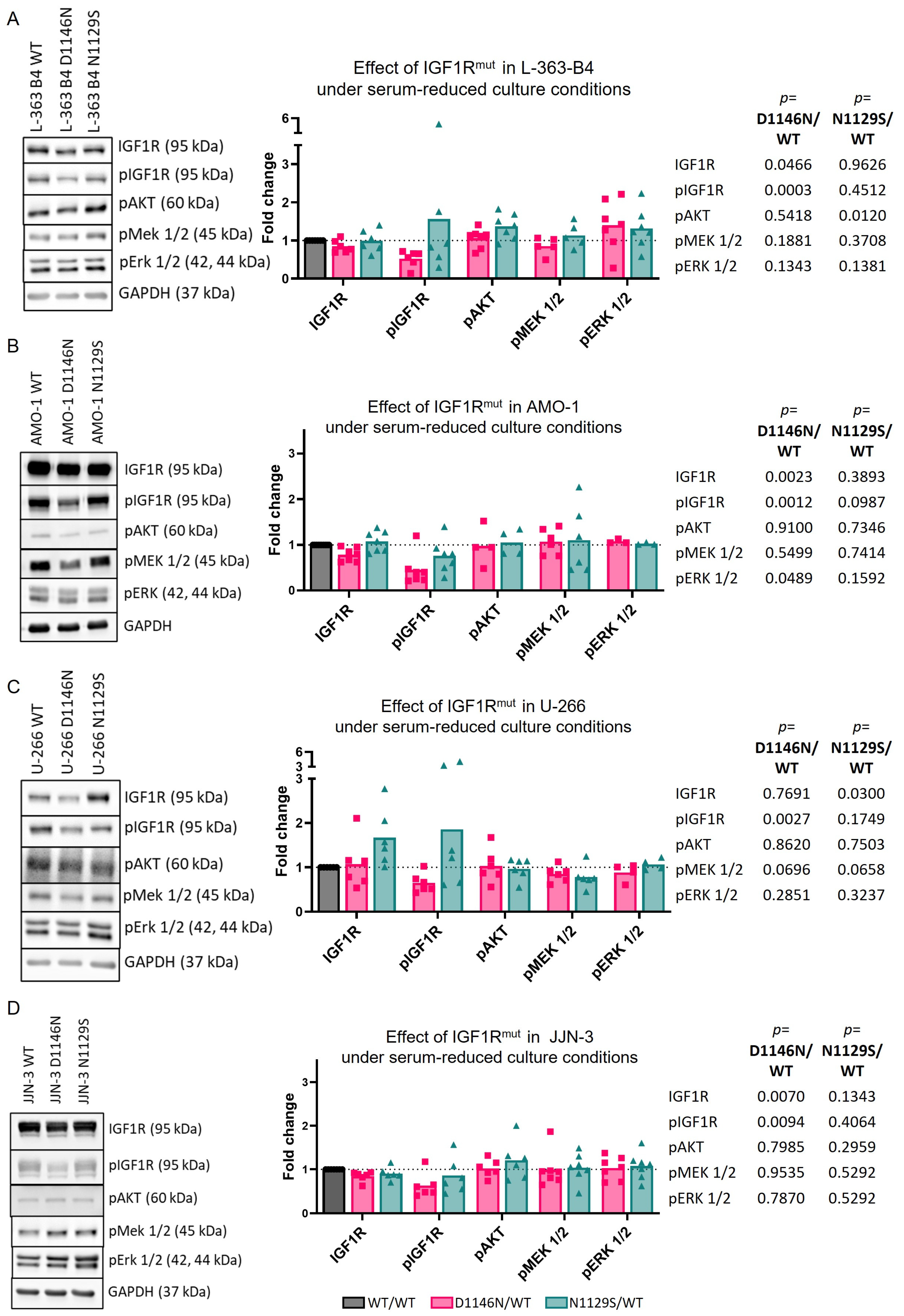 Cancers 16 02139 g004