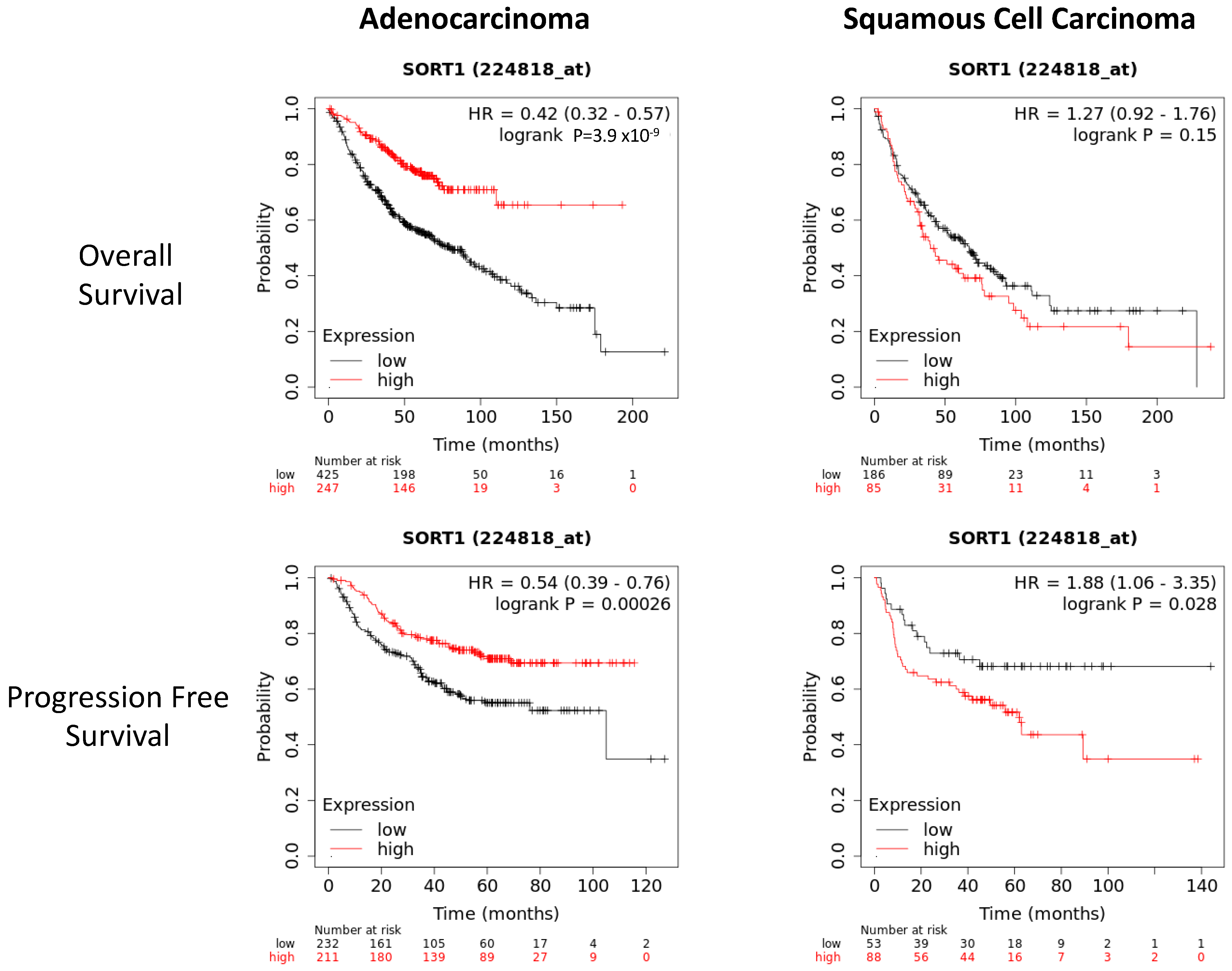 Cancers 16 02154 g002