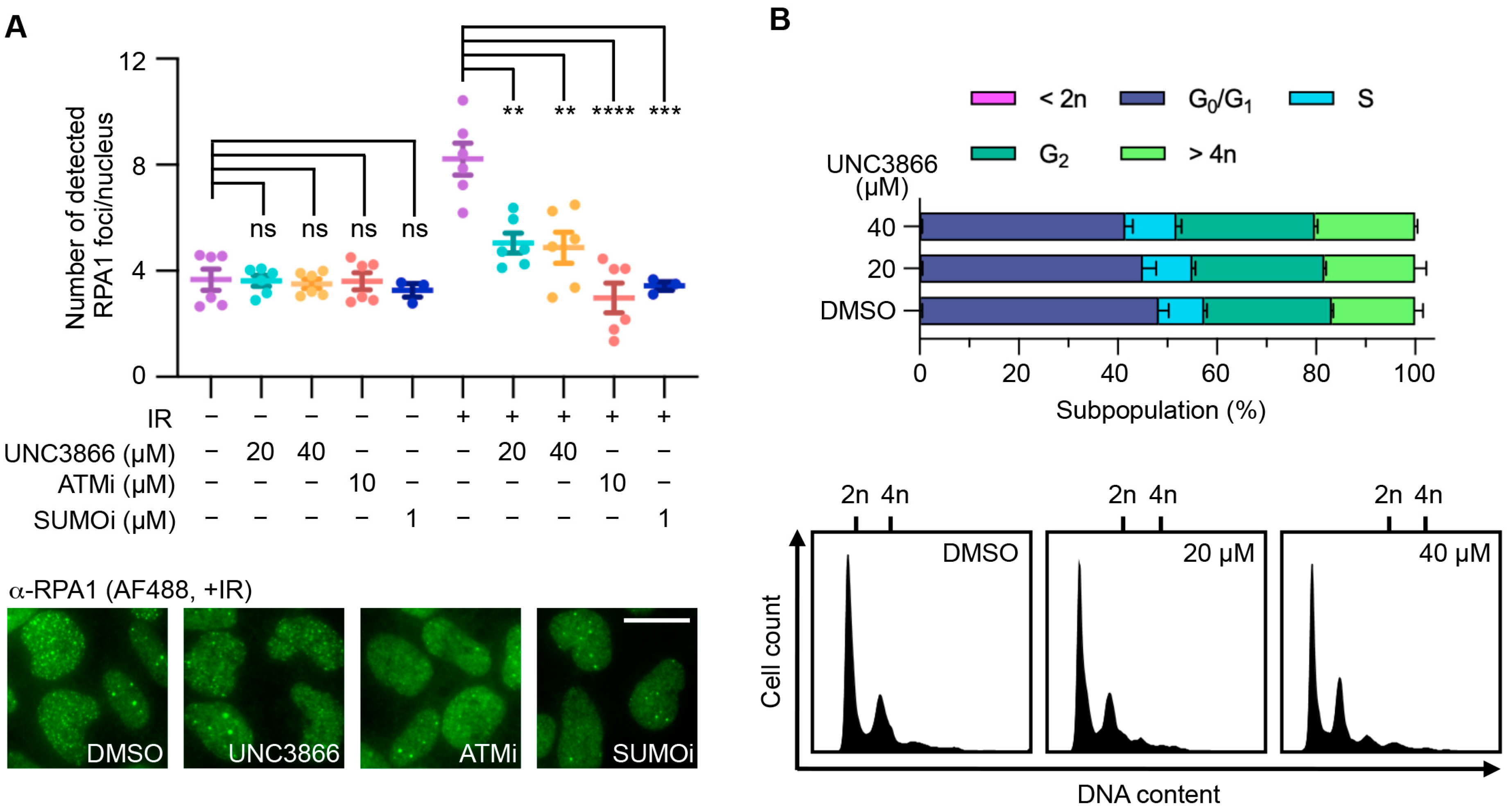 Cancers 16 02155 g002
