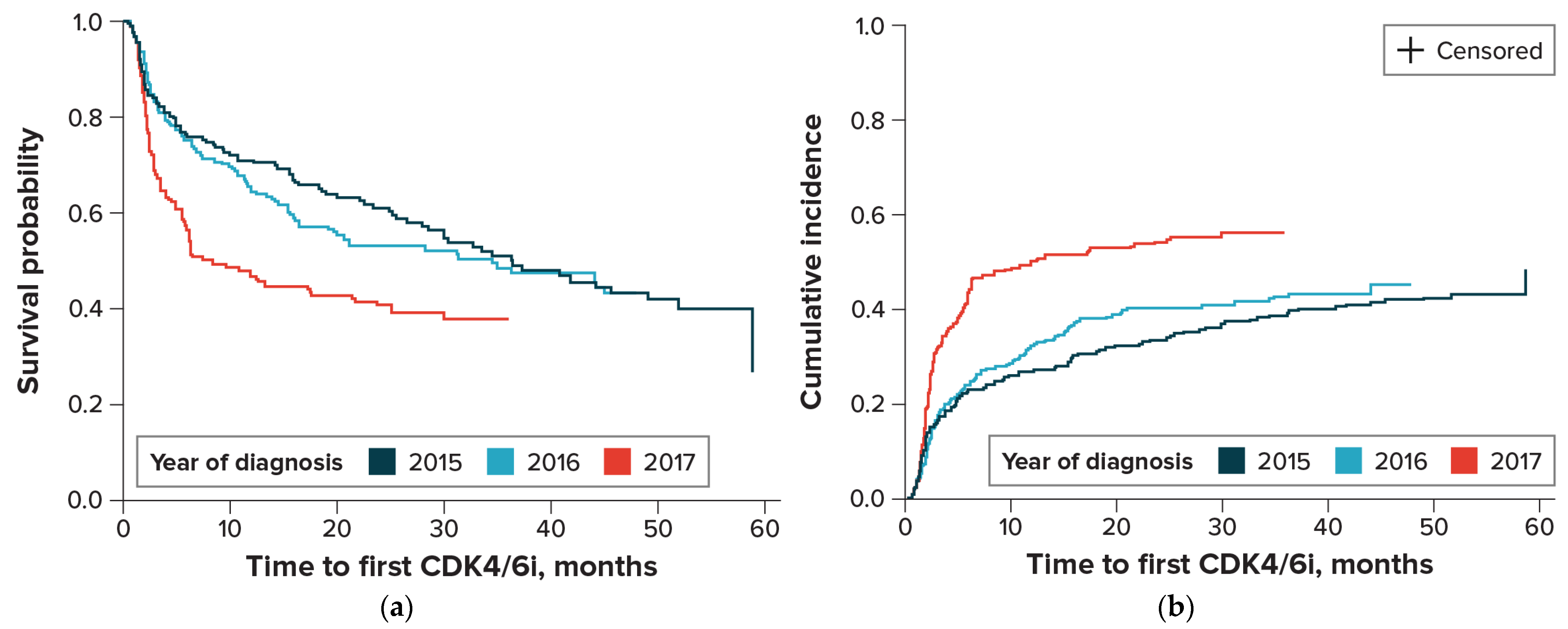 Cancers 16 02168 g002