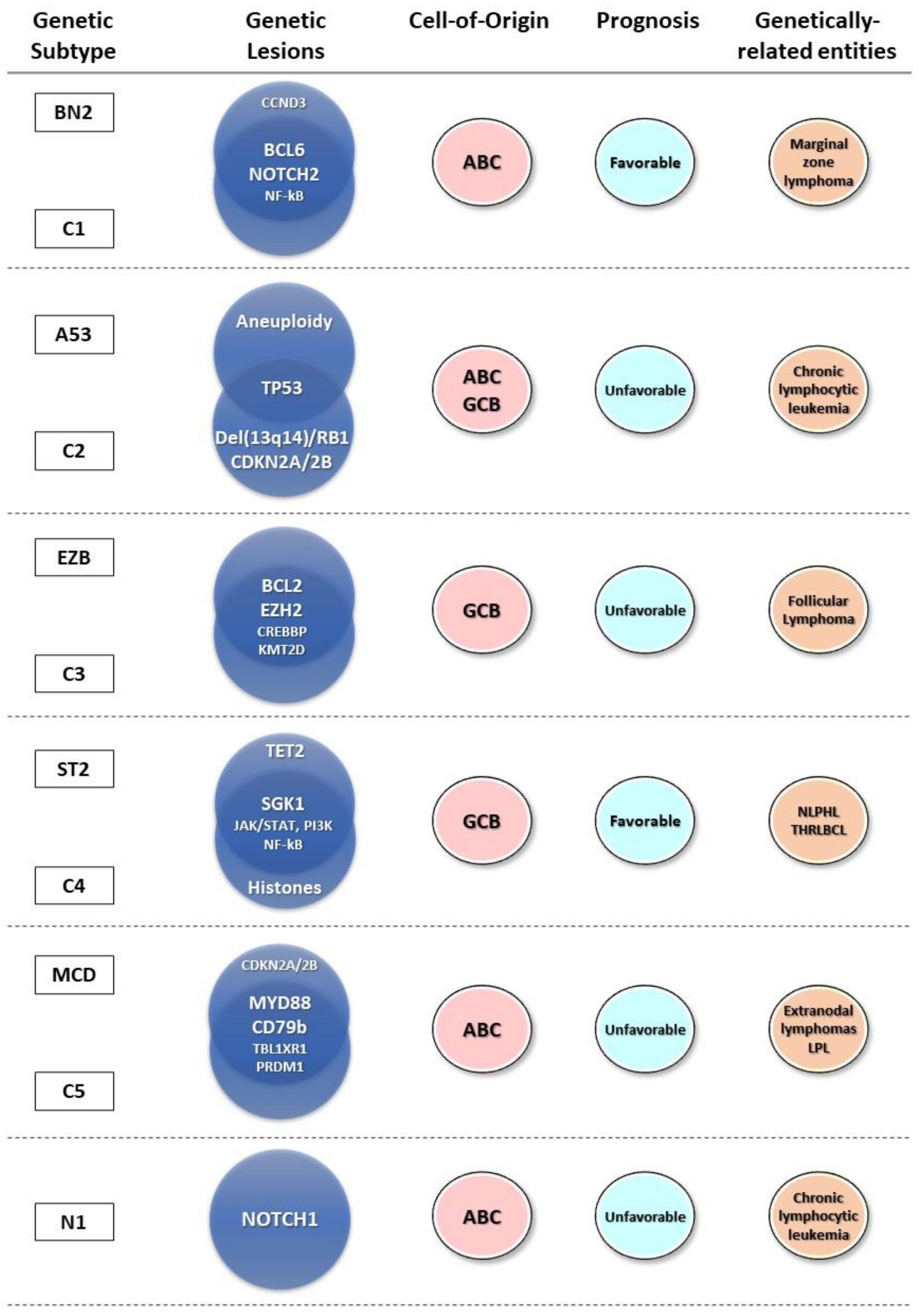 Cancers 16 02170 g001