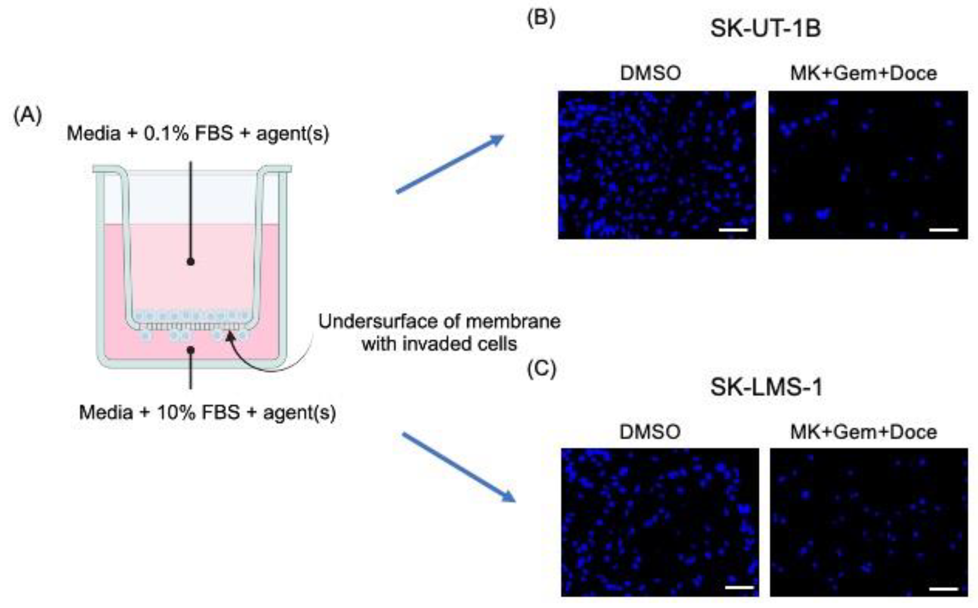 Cancers 16 02184 g001