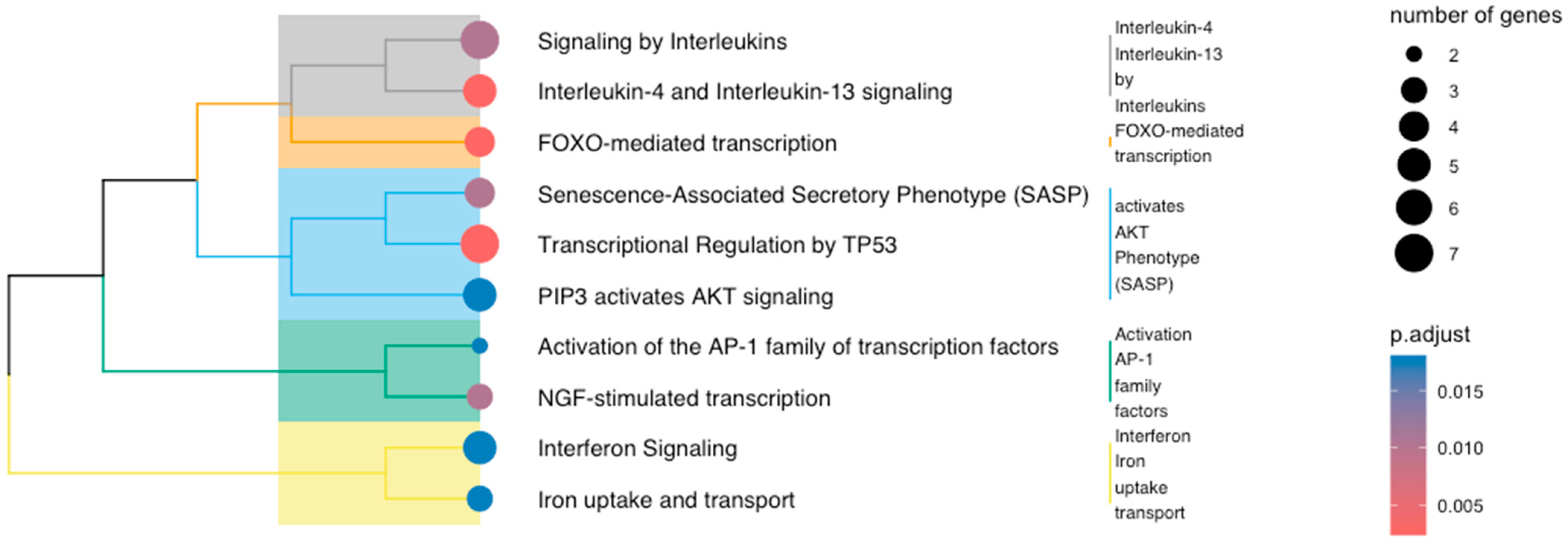 Cancers 16 02186 g004