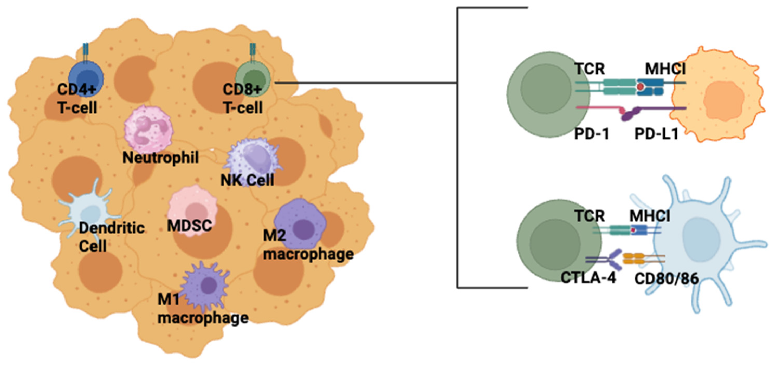 Cancers 16 02189 g002