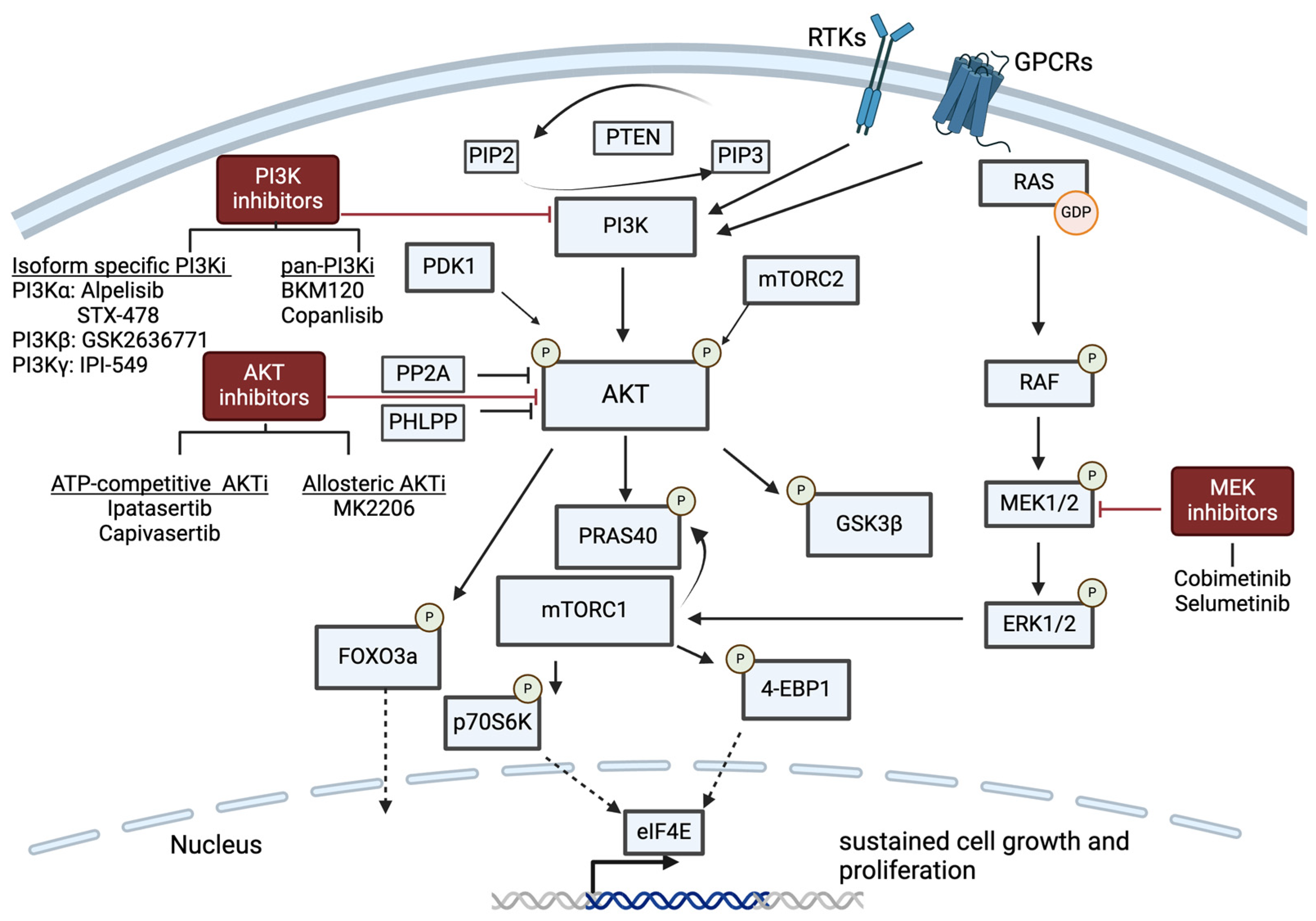 Cancers 16 02189 g003