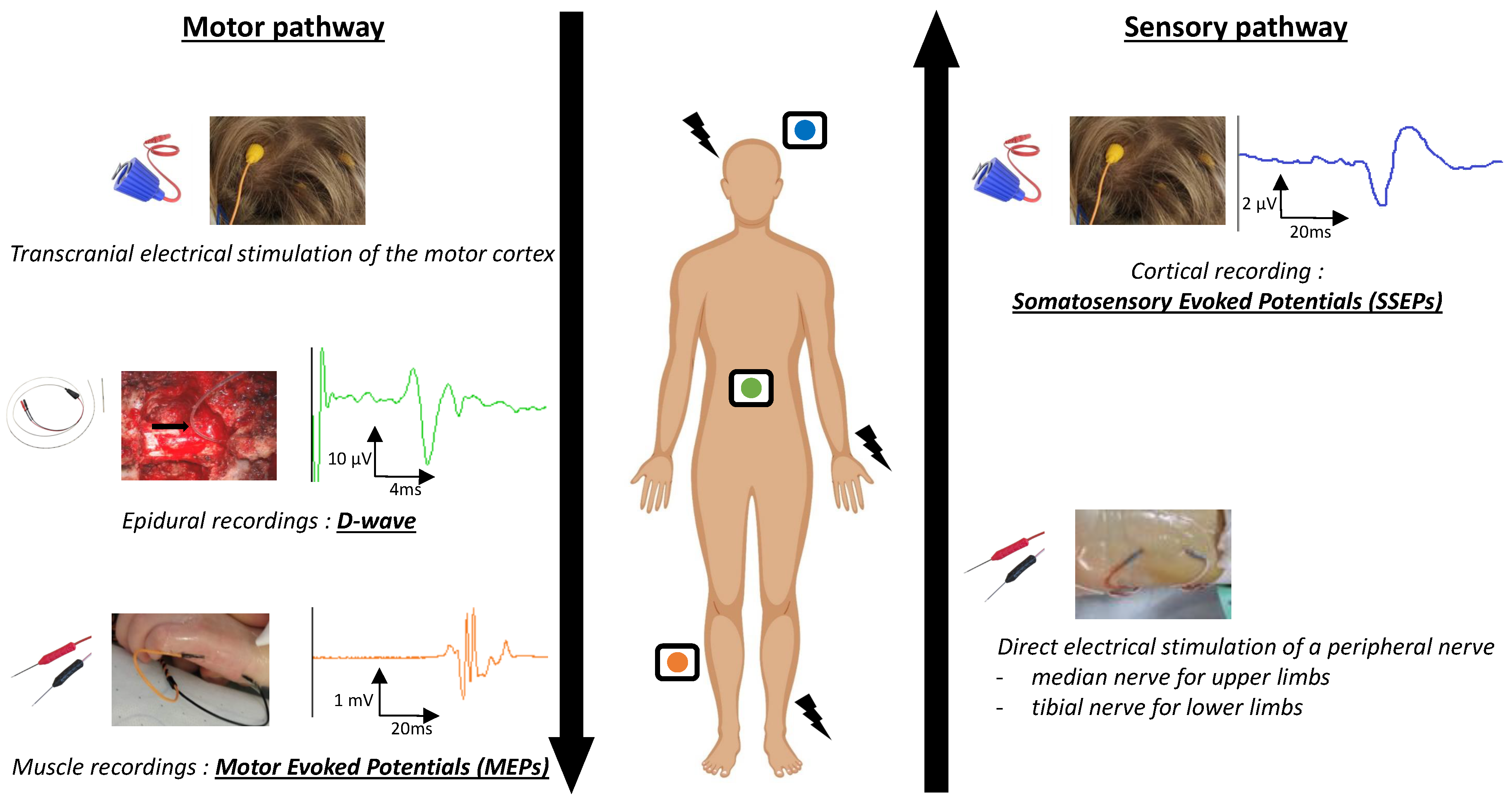 Cancers 16 02192 g001
