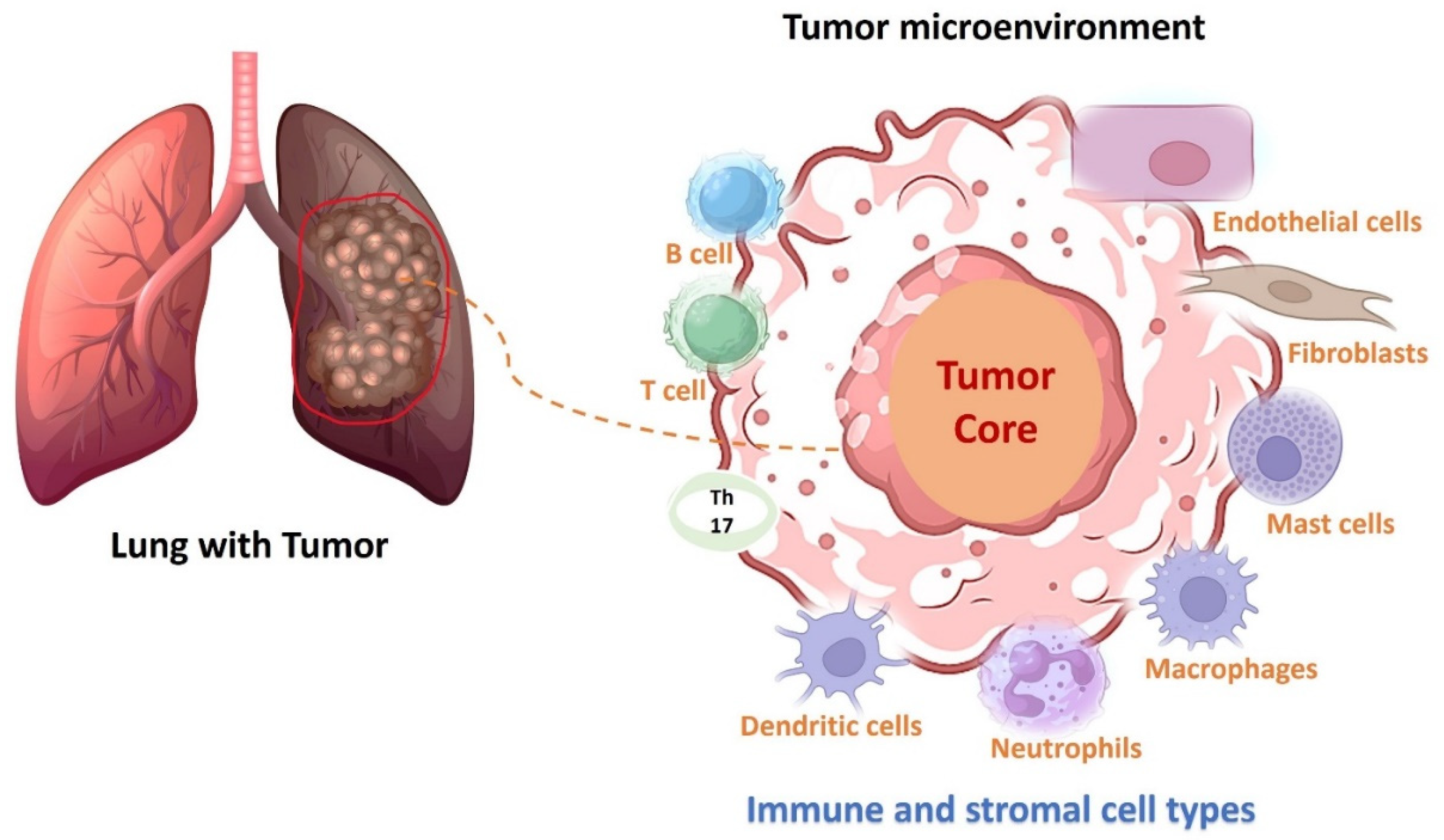 Cancers 16 02205 g001