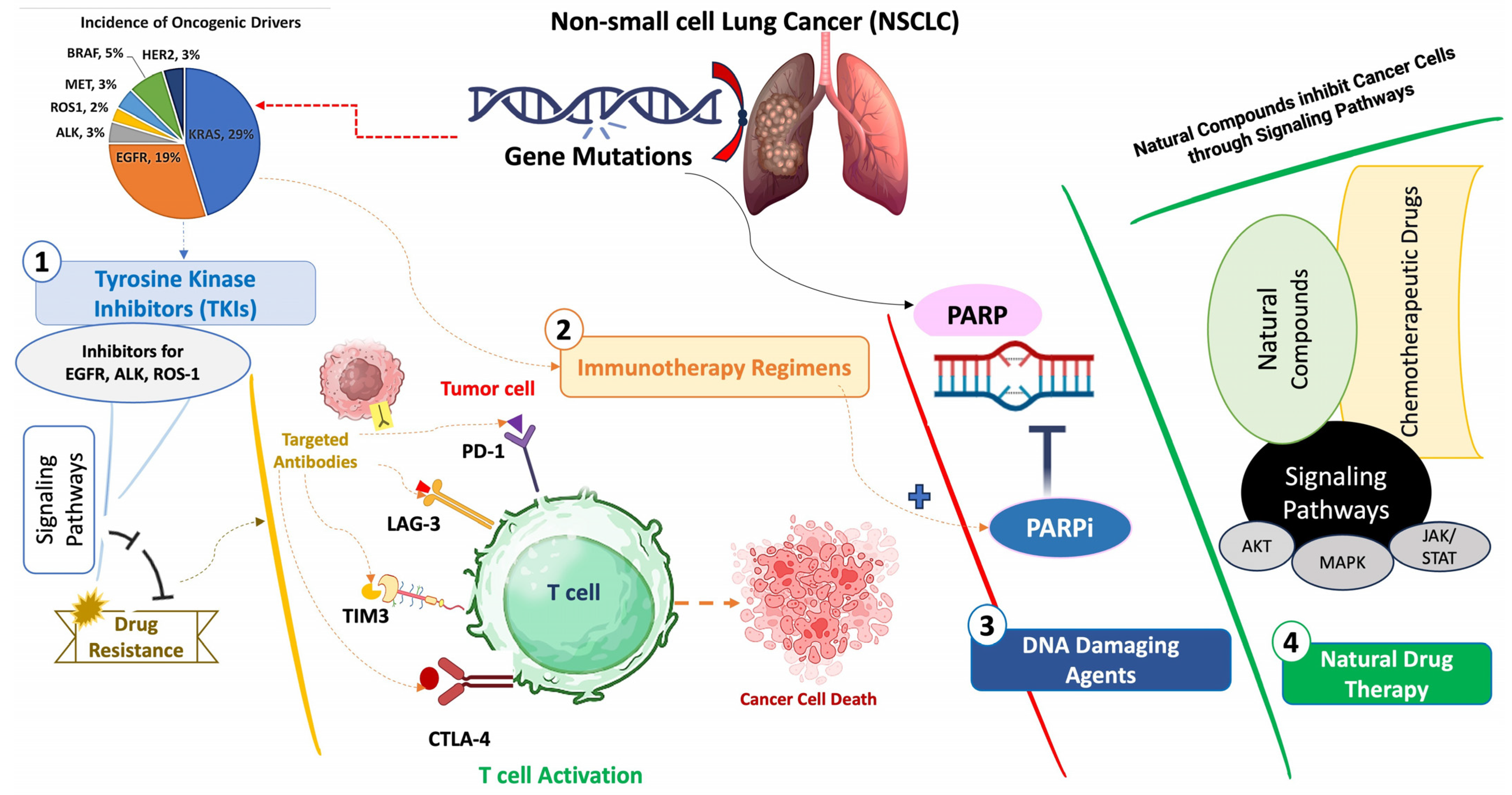 Cancers 16 02205 g002