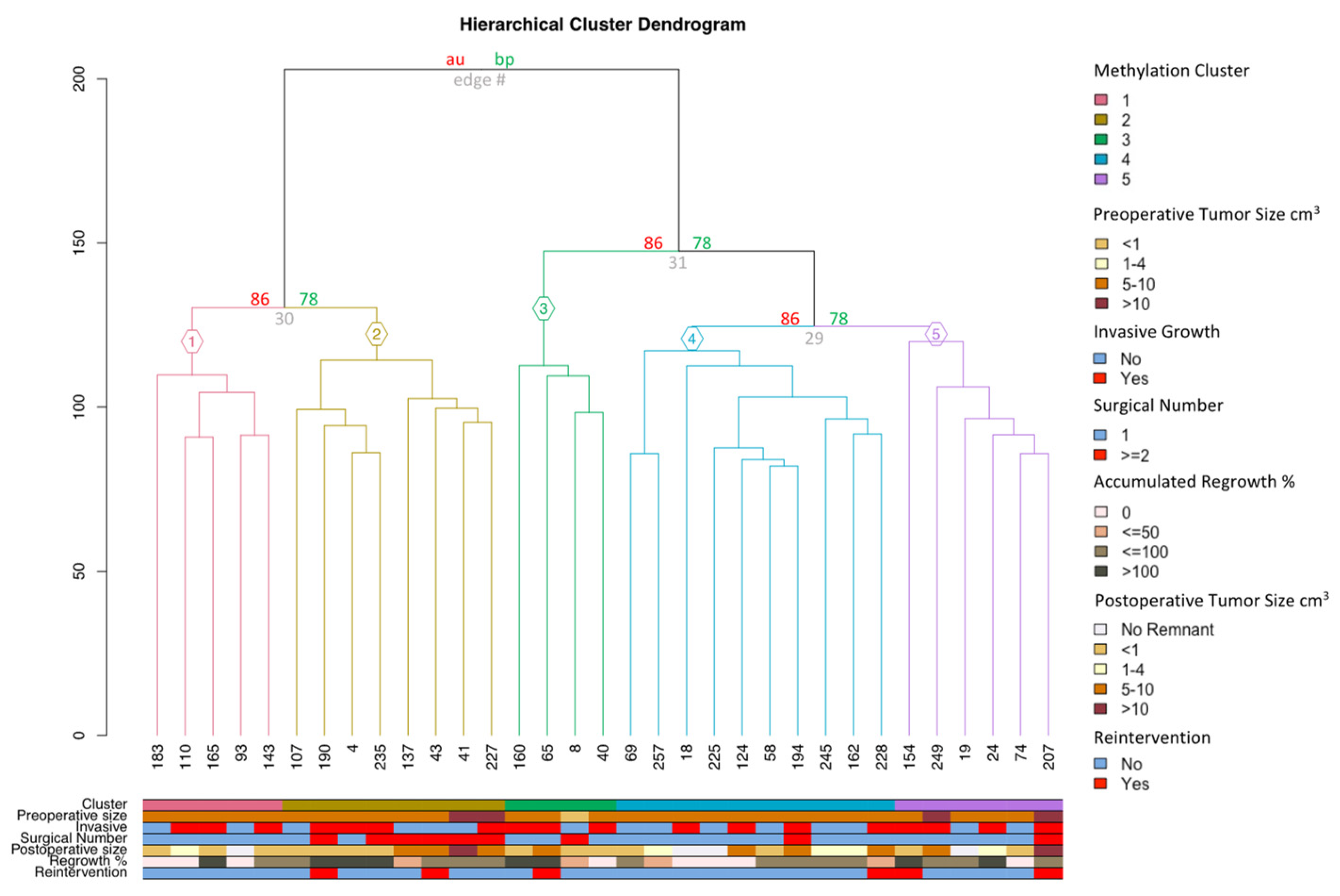 Cancers 16 02210 g003